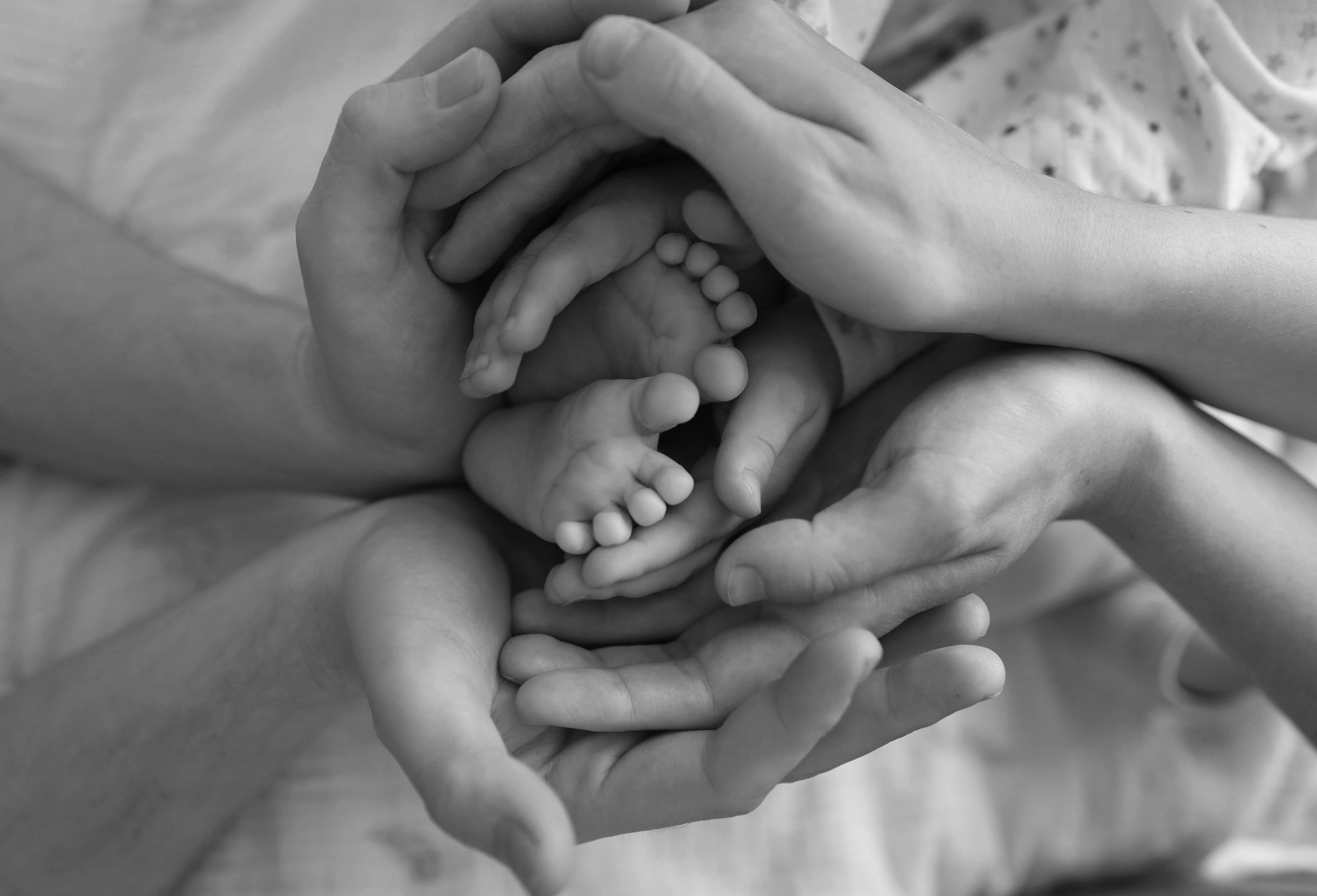 Пополнение. Фотограф Санкт-Петербург