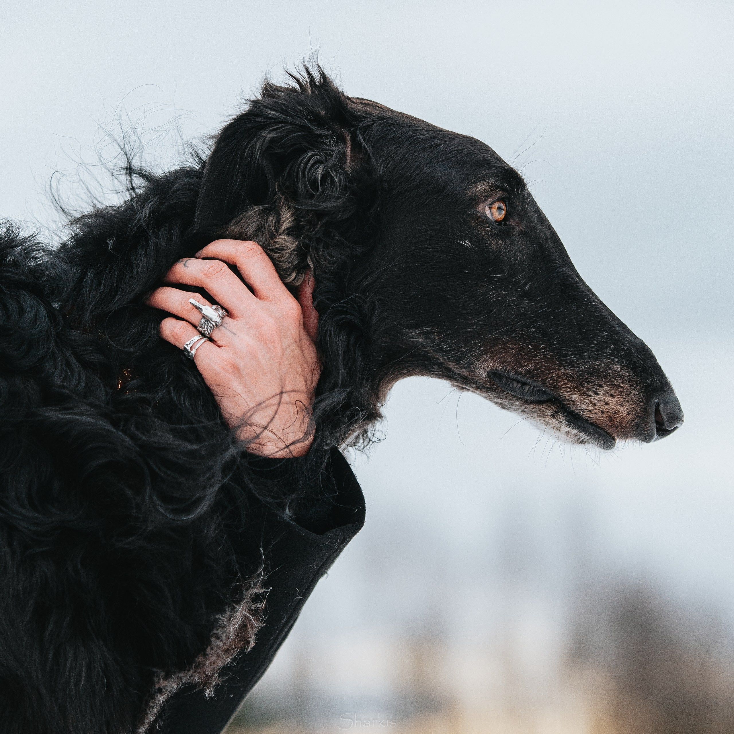 Катя и Гримм. Главная