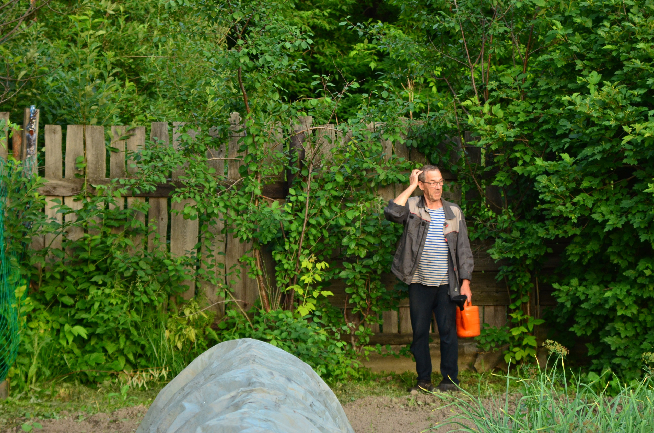 Дары природы. Фотограф viktor viktor