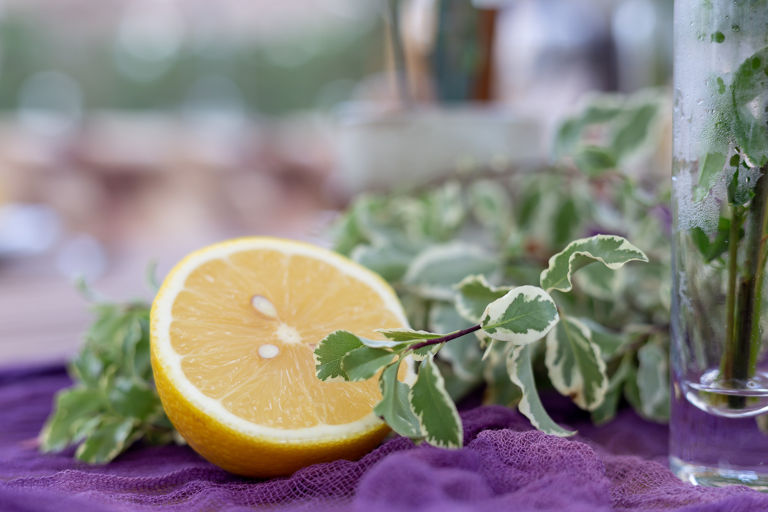 Дом у Моря, Терраса. Свадебный и Репортажный фотограф в Санкт-Петербурге