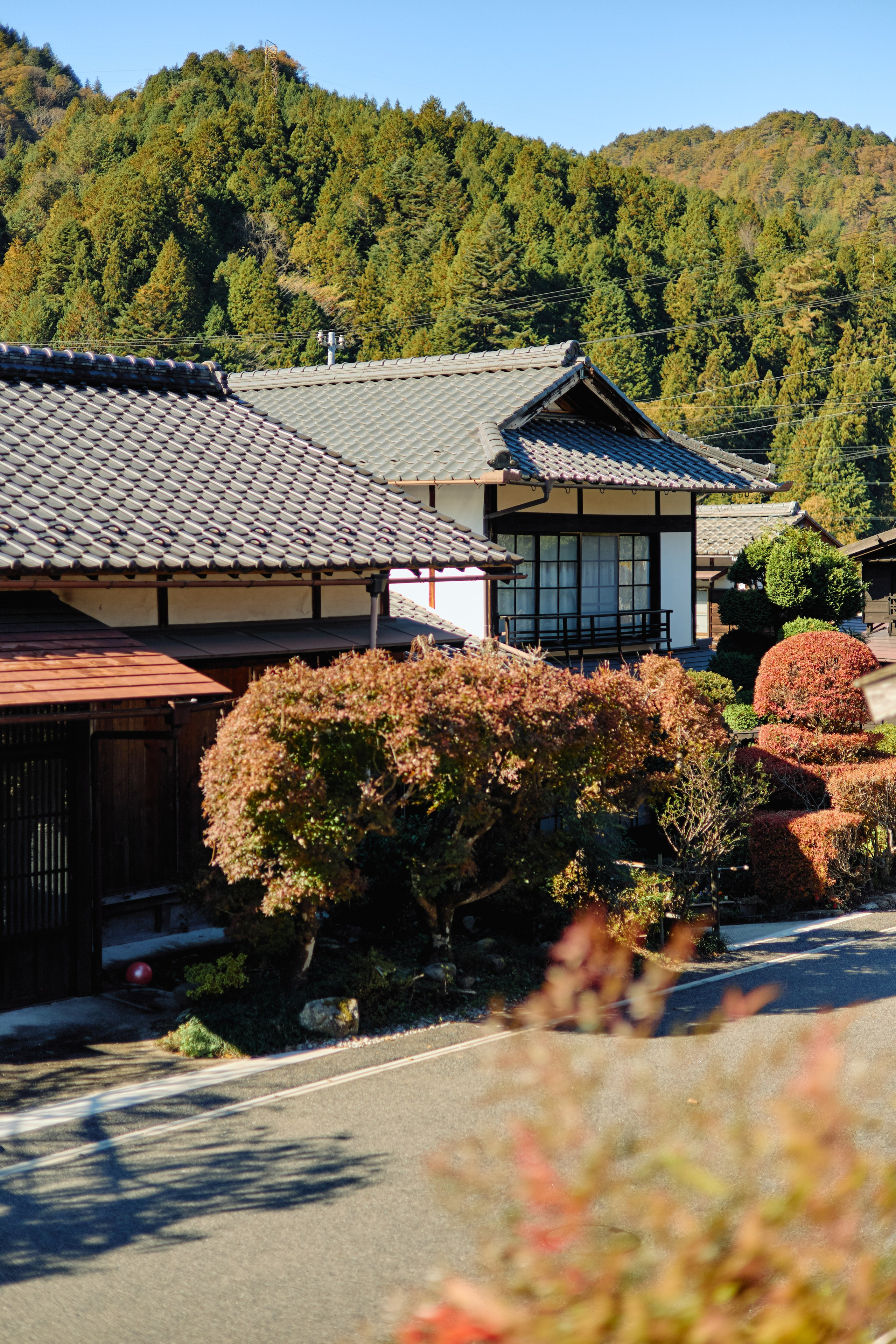 Япония. Профессиональный Фотограф во Владимире, в Москве и в Суздале — Полина Романычева