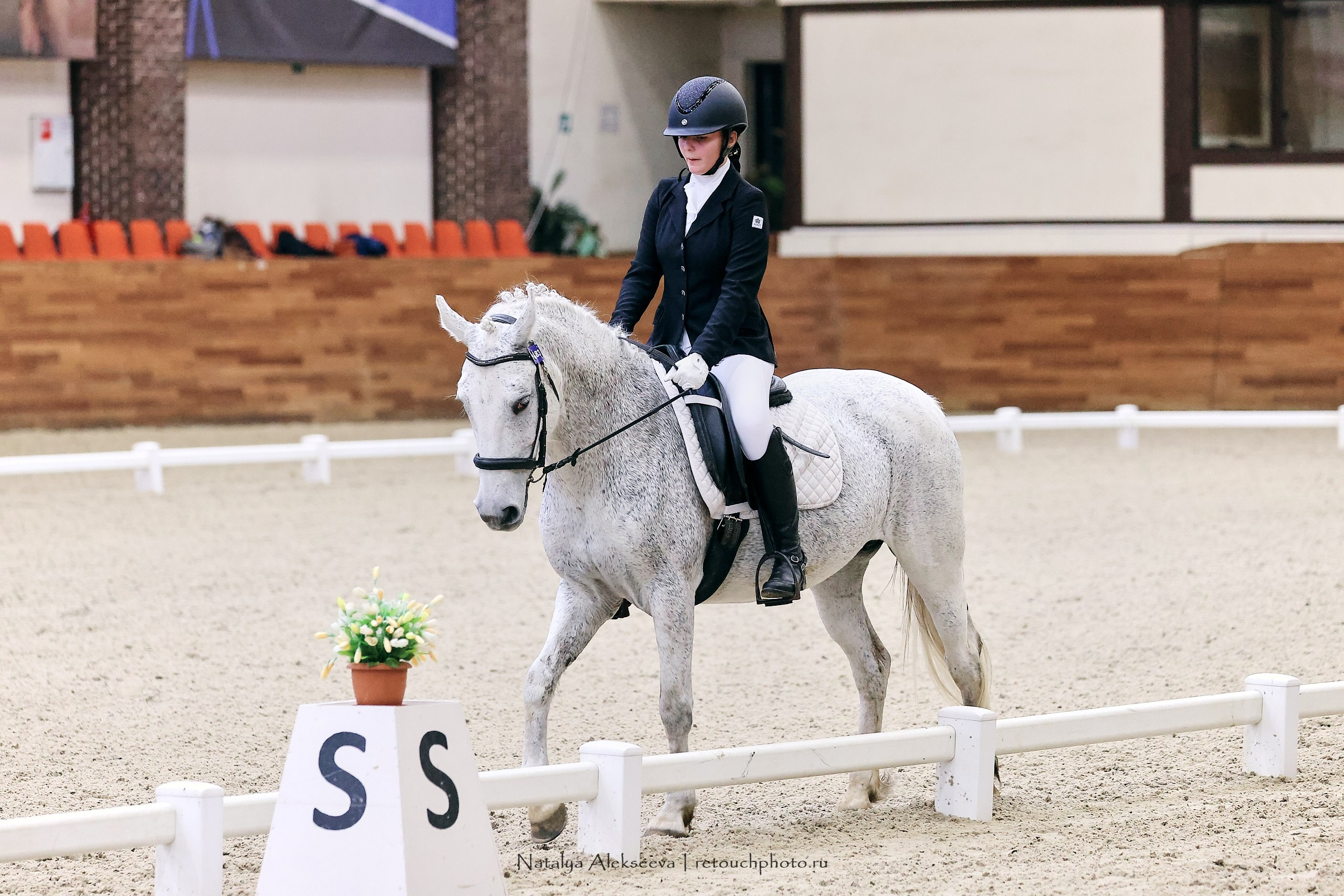 Финал Maxima Park по выездке, Maxima Stables | 10'2023. Репортажный фотограф и ретушер в Москве Наталья Алексеева