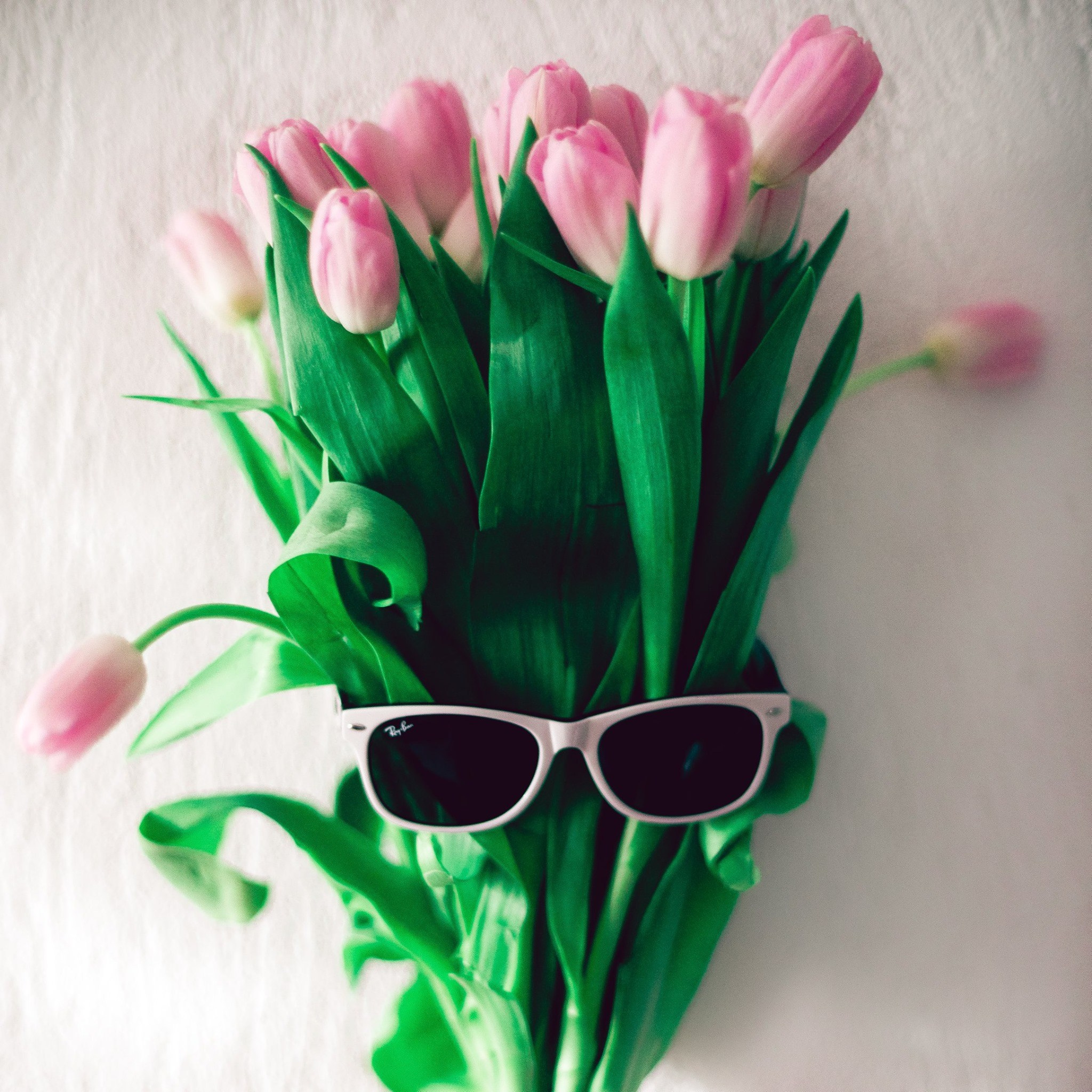 William Lawson’s 13 The Bar. Nina Petina