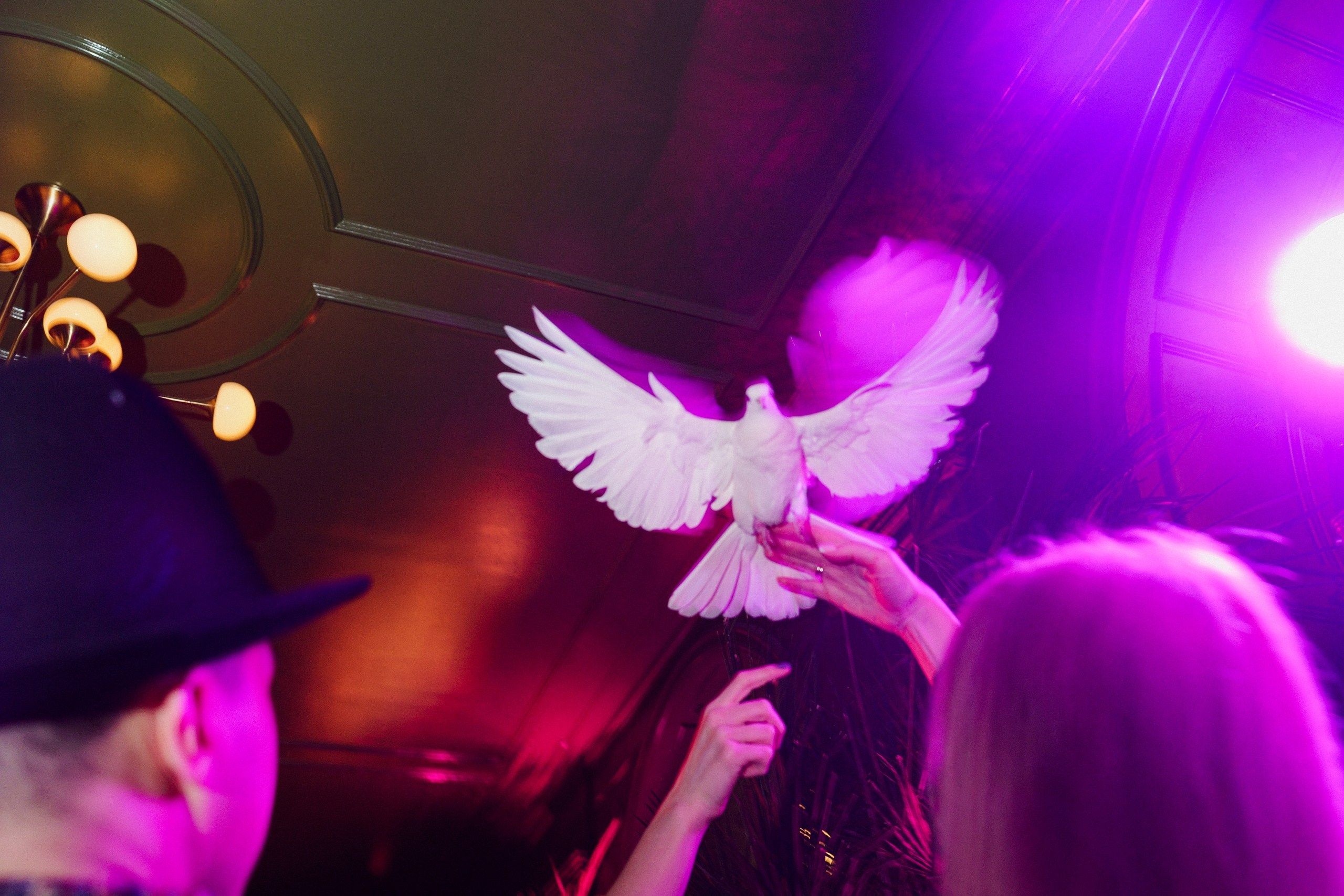 Проекты. Режиссёр Даниил Филиппович