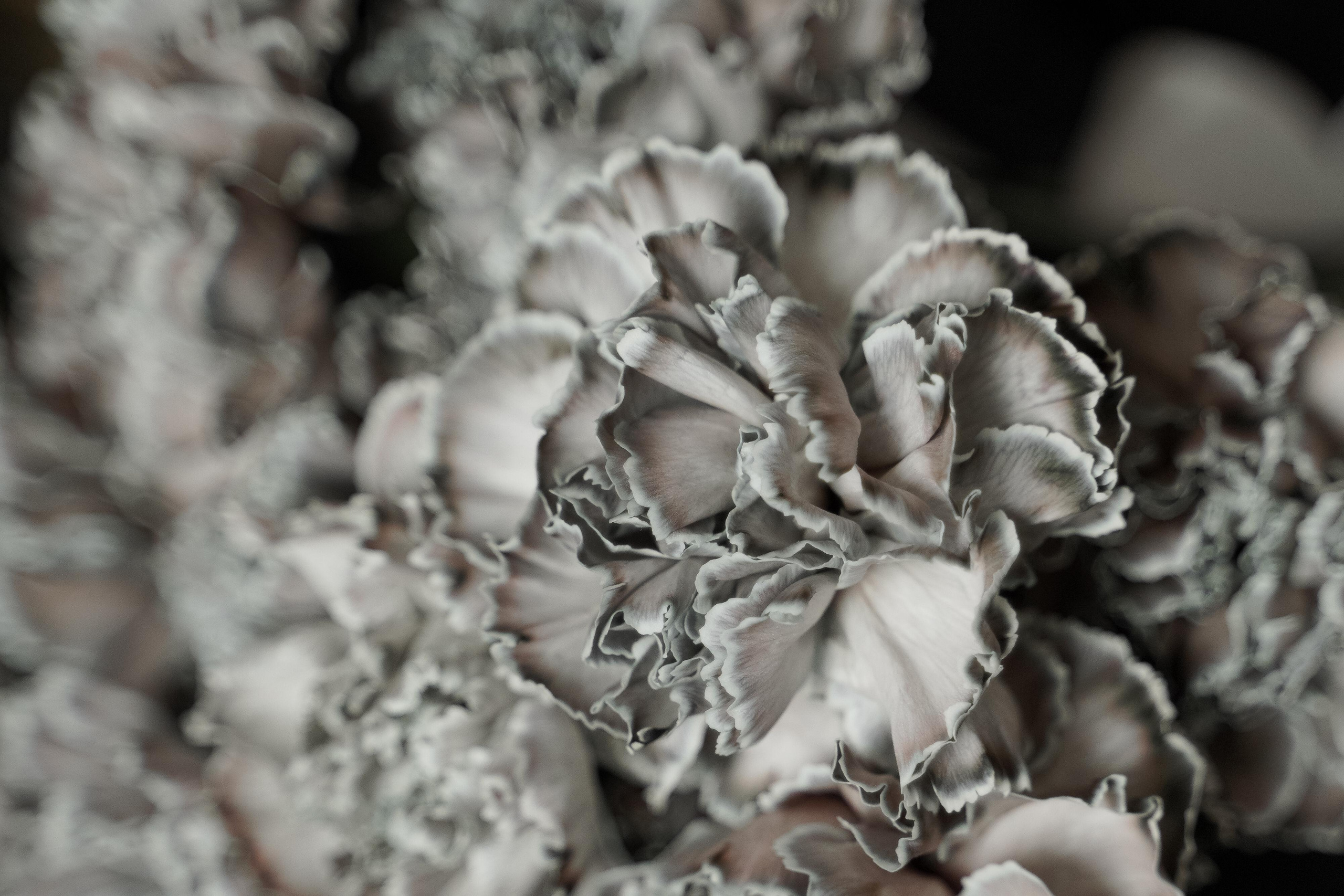 Дарья и Владислав. Свадебный фотограф Марина Попова