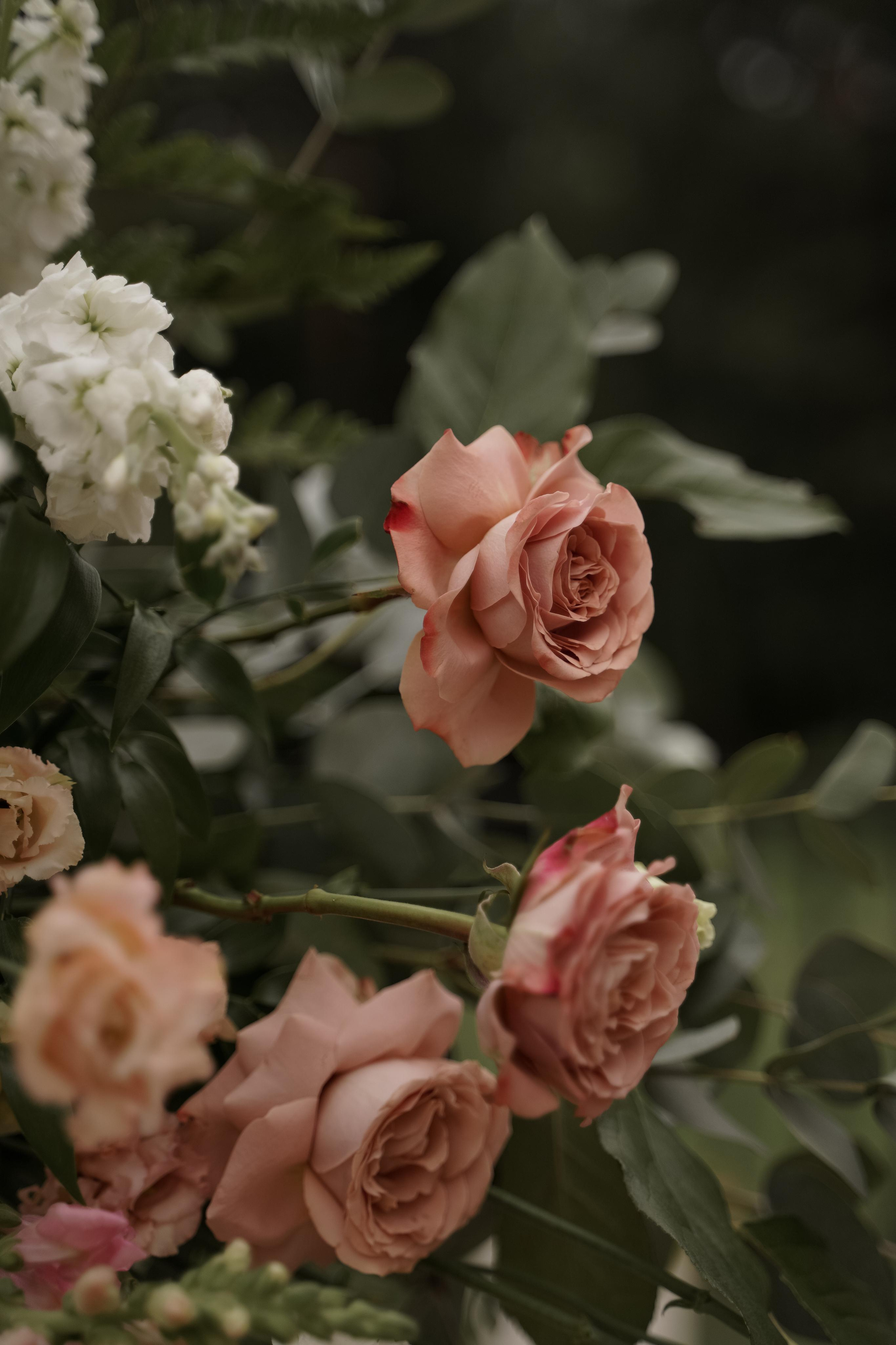 Юлия и Игорь. Свадебный фотограф Марина Попова