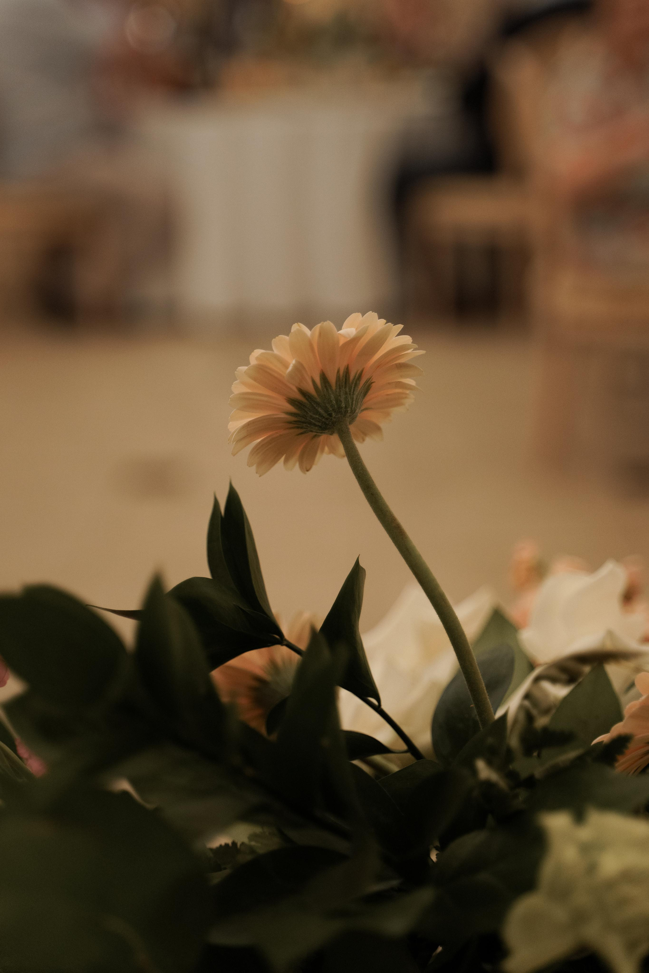 Юлия и Игорь. Свадебный фотограф Марина Попова