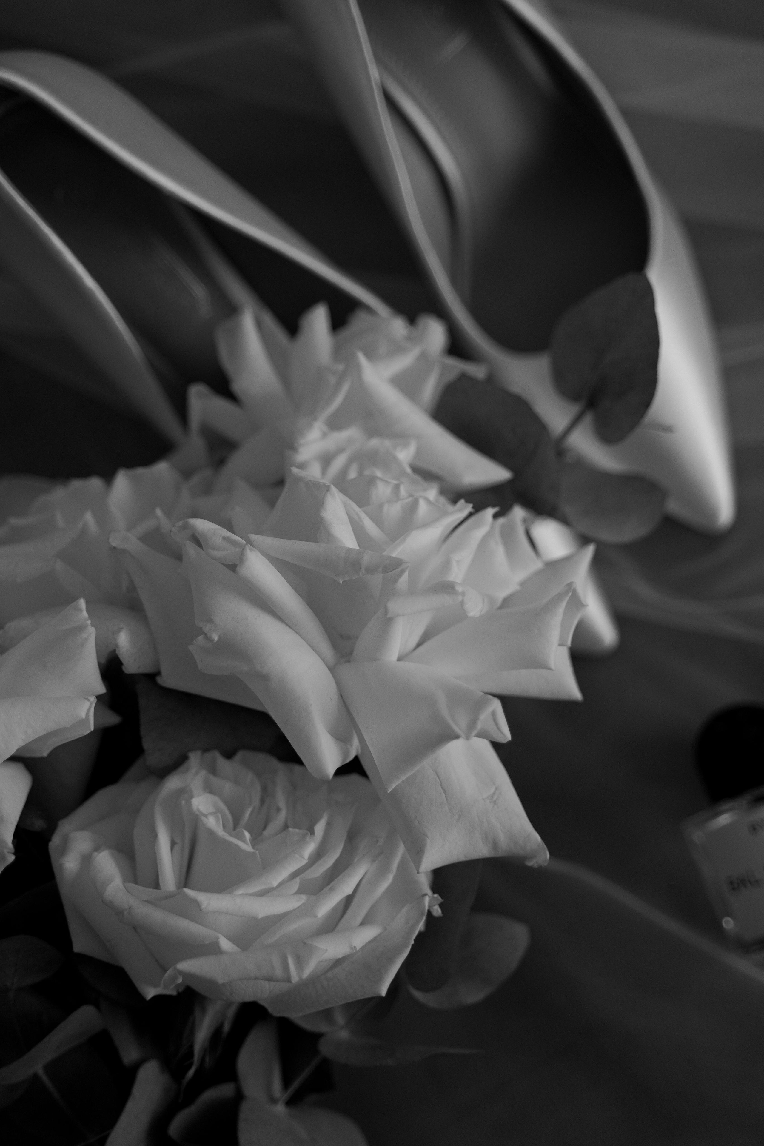 Дарья и Сергей. Свадебный фотограф Марина Попова