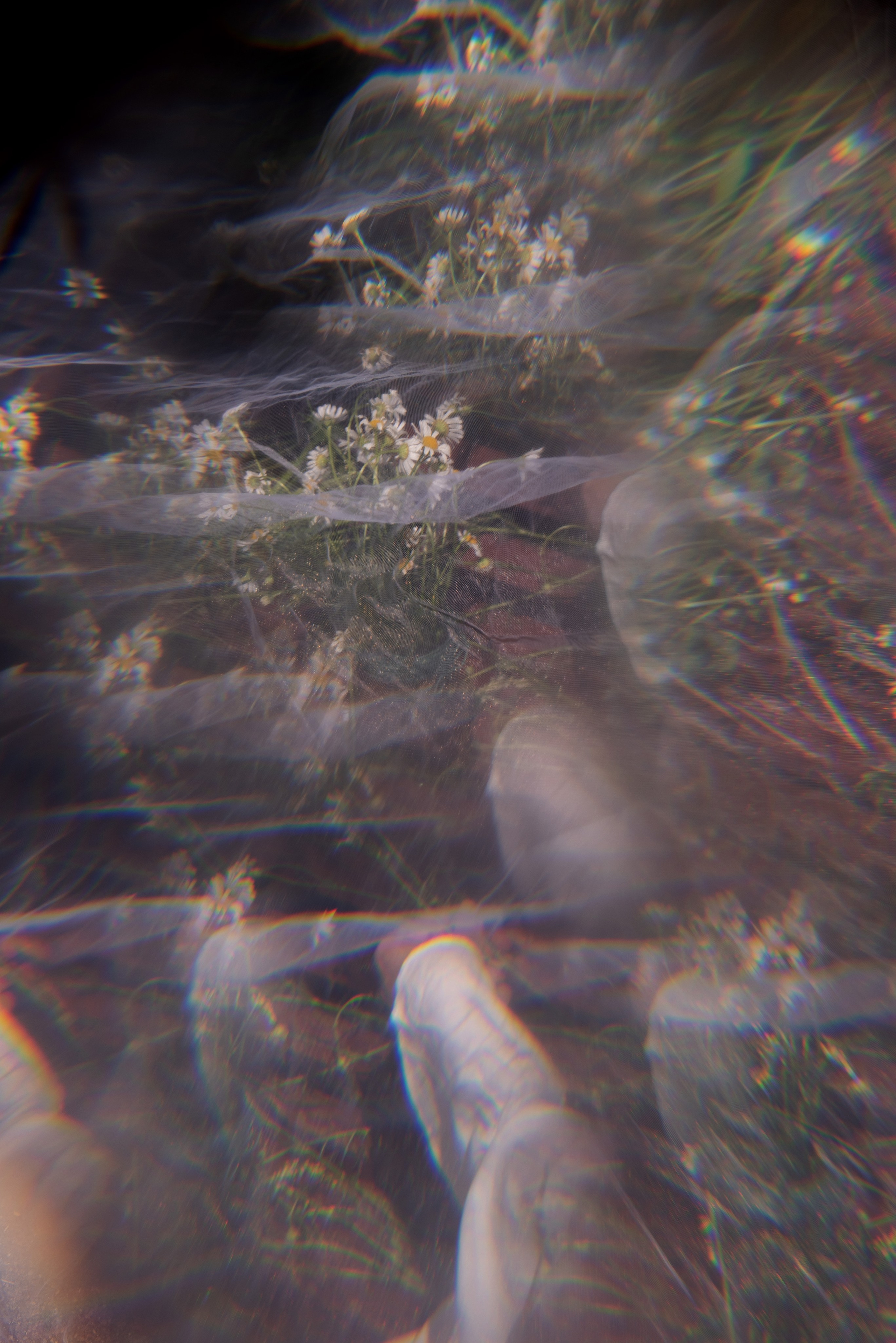 Анастасия. Стильный портретный и семейный фотограф в Москве Ника Артуньянц