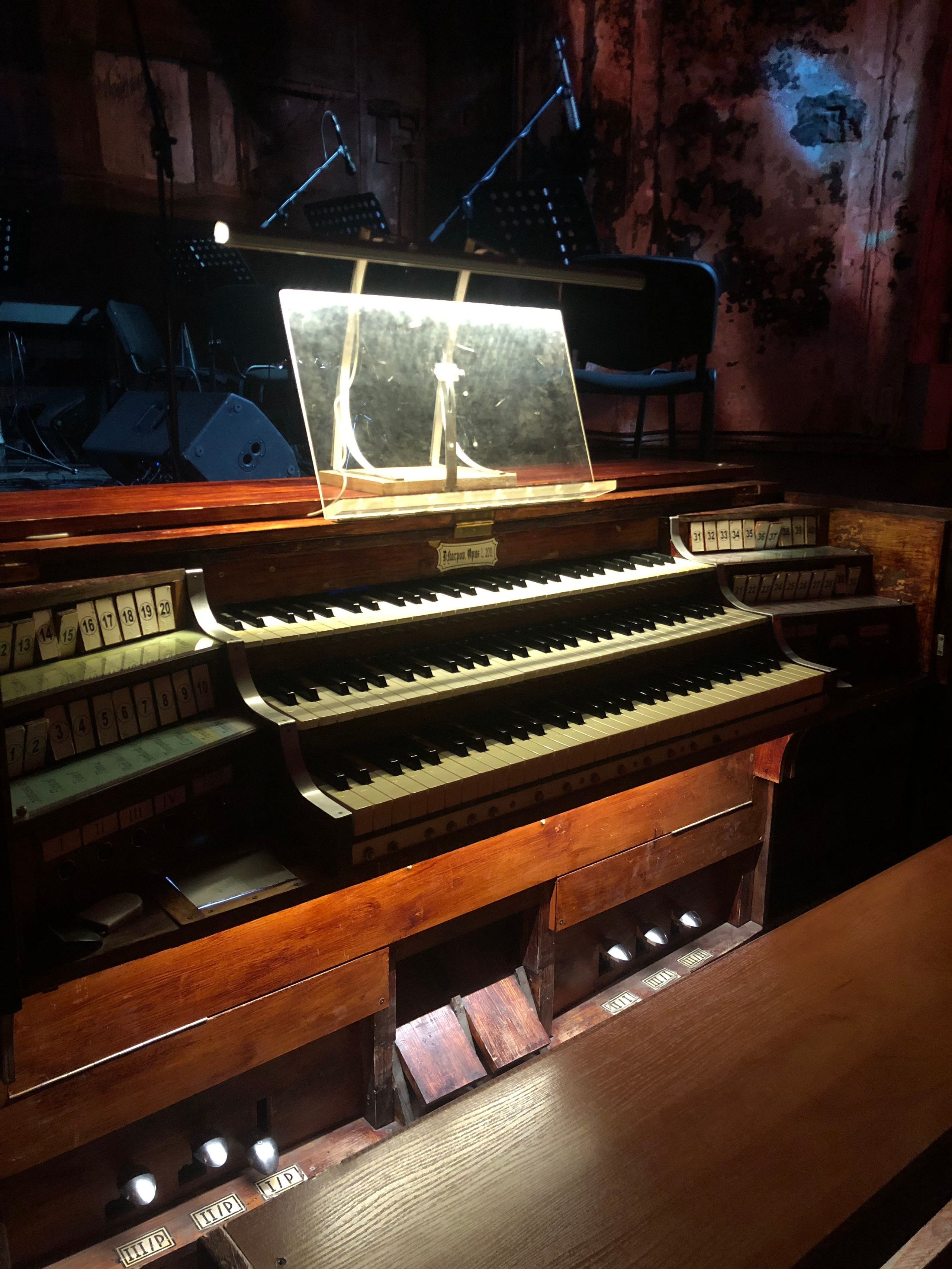 Сентябрь. Семейный, Свадебный фотограф СПБ Питер— Романова Екатерина