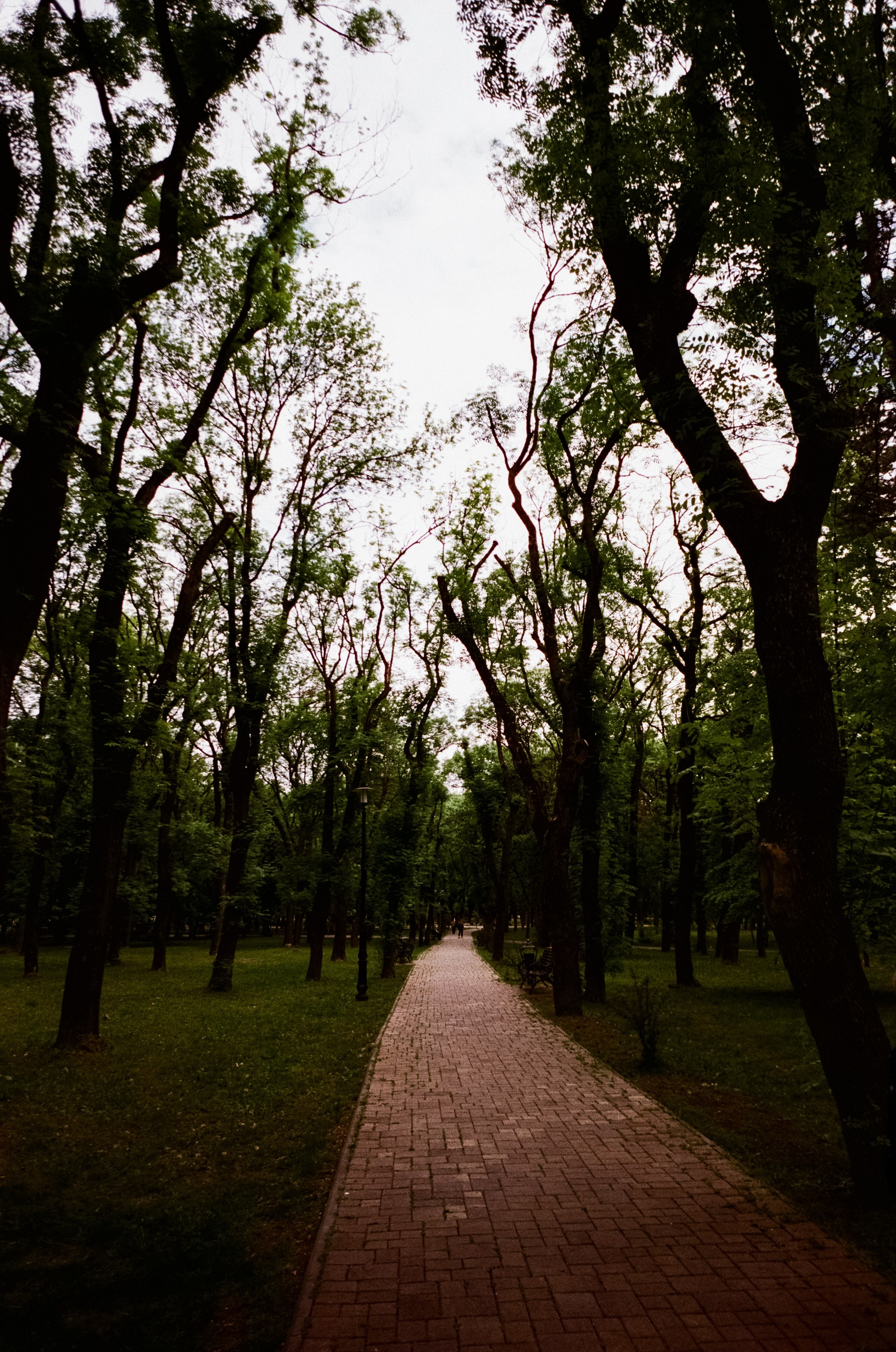 Ессентуки / Voigtlander BESSA-T / Fujifilm X-tra 400 (просрочка)