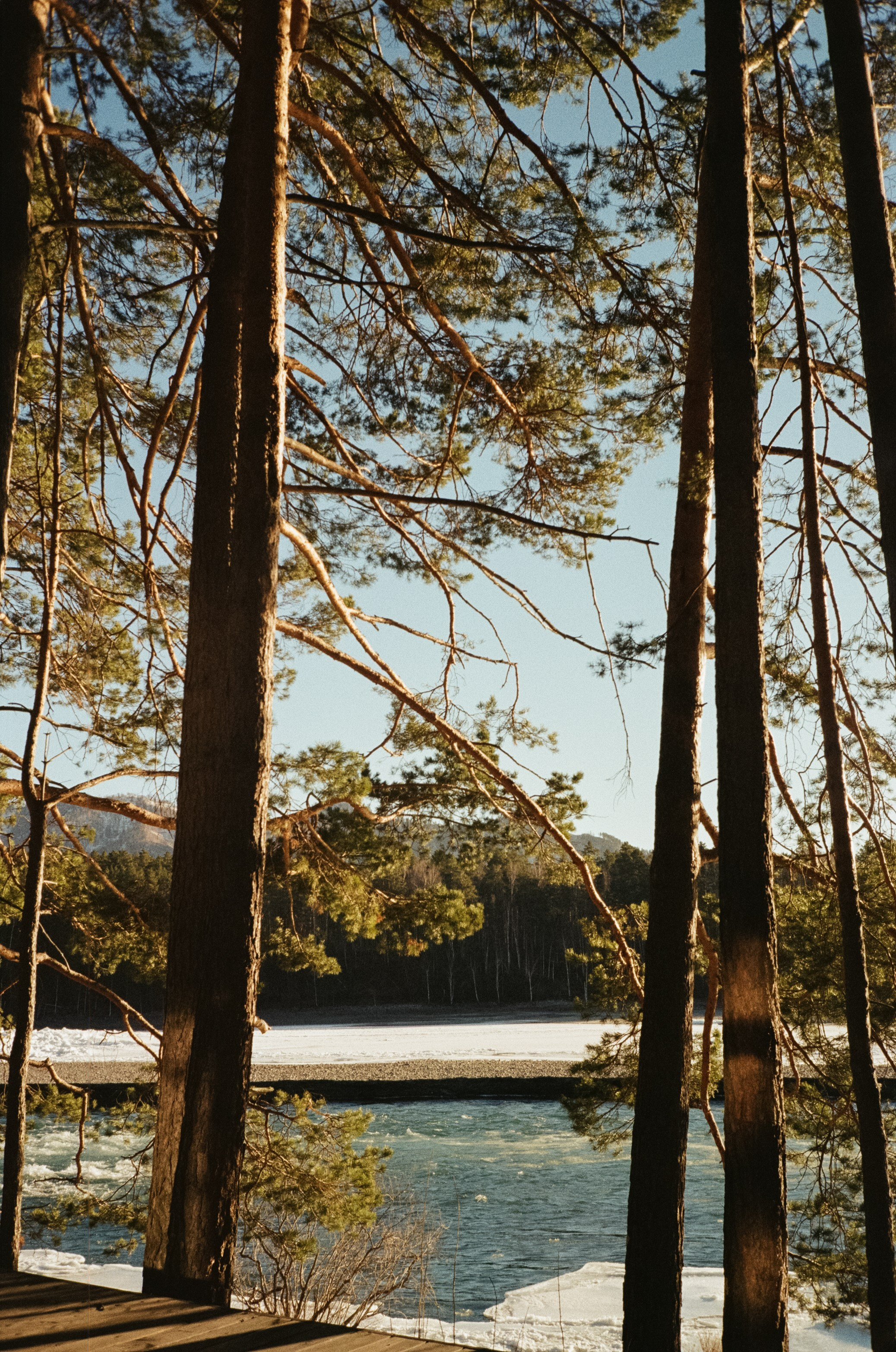 Olympus Mju II VS Chinon Auto 3001 — стоит ли переплачивать?!