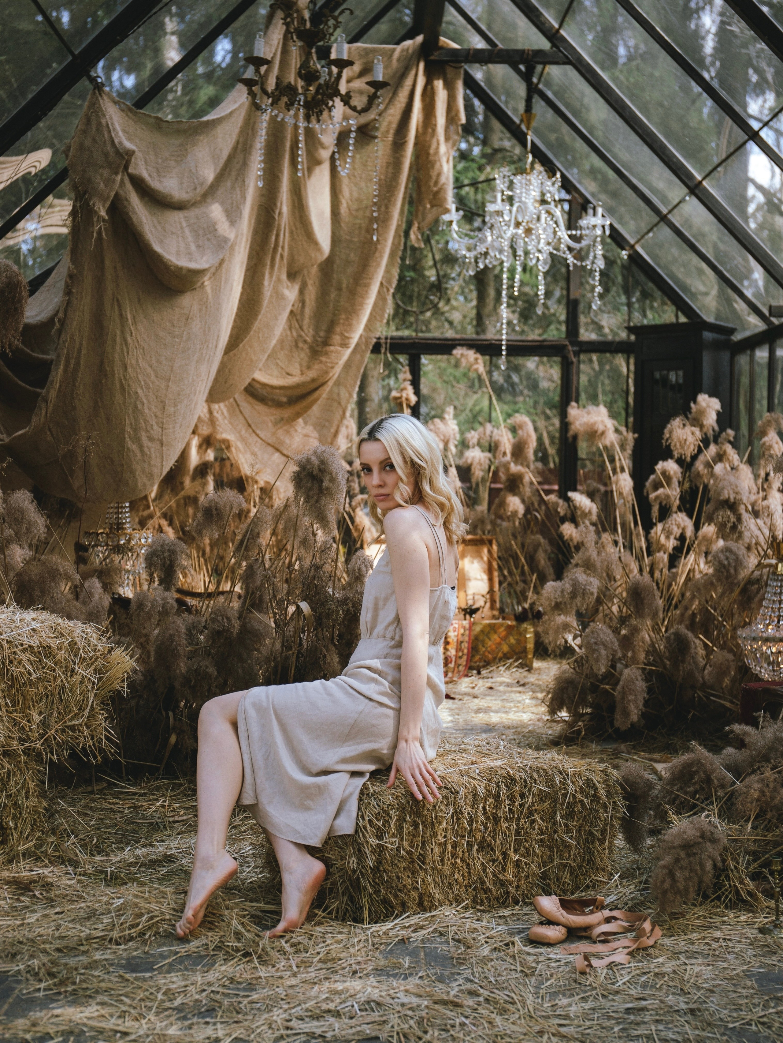 История со скрипкой. Свадебный и семейный фотограф в Москве Мила Широких