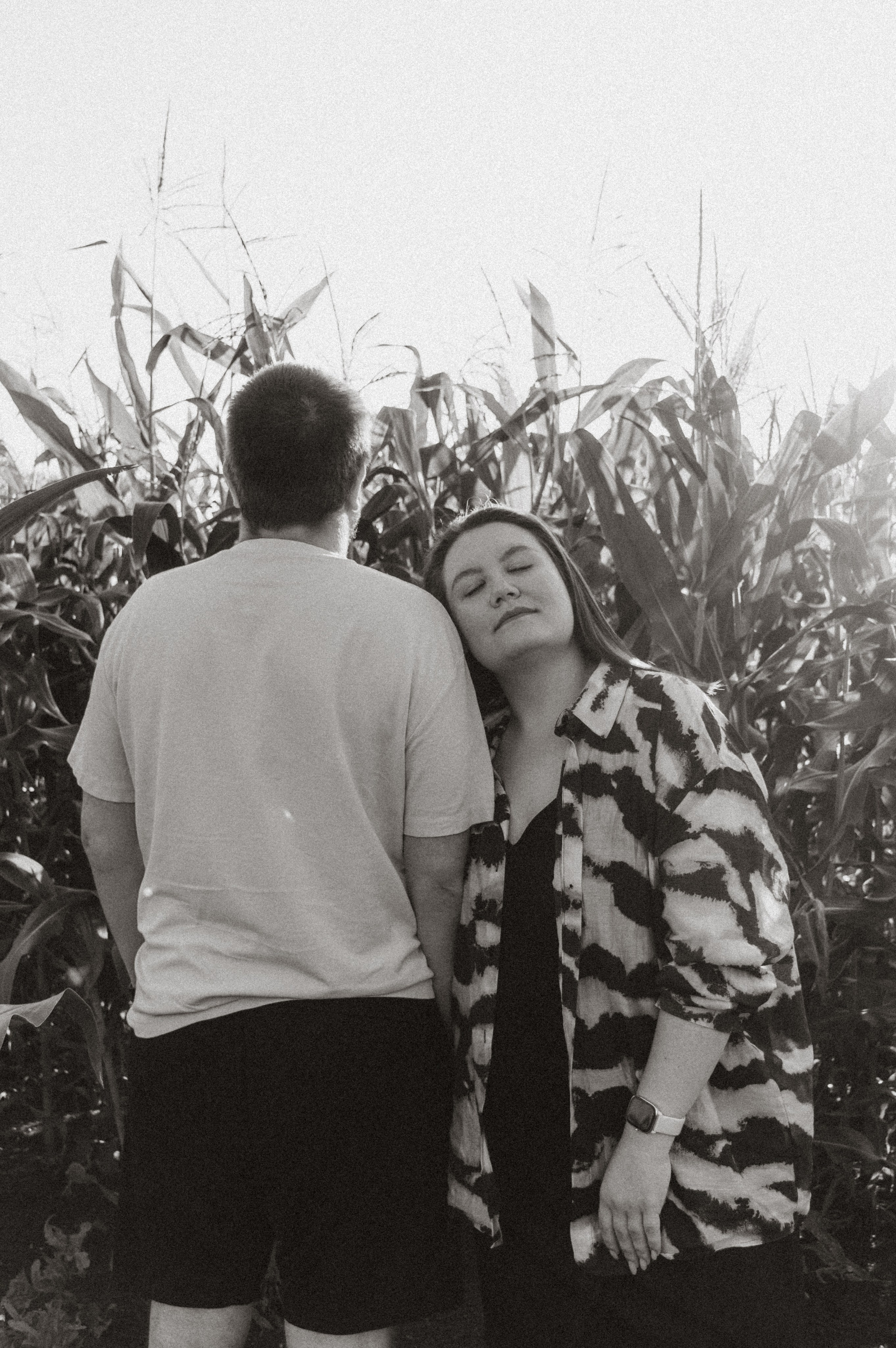 Лето, семья, кукуруза. Семейная летняя фотосессия. Юлия Левада Семейный и женский фотограф