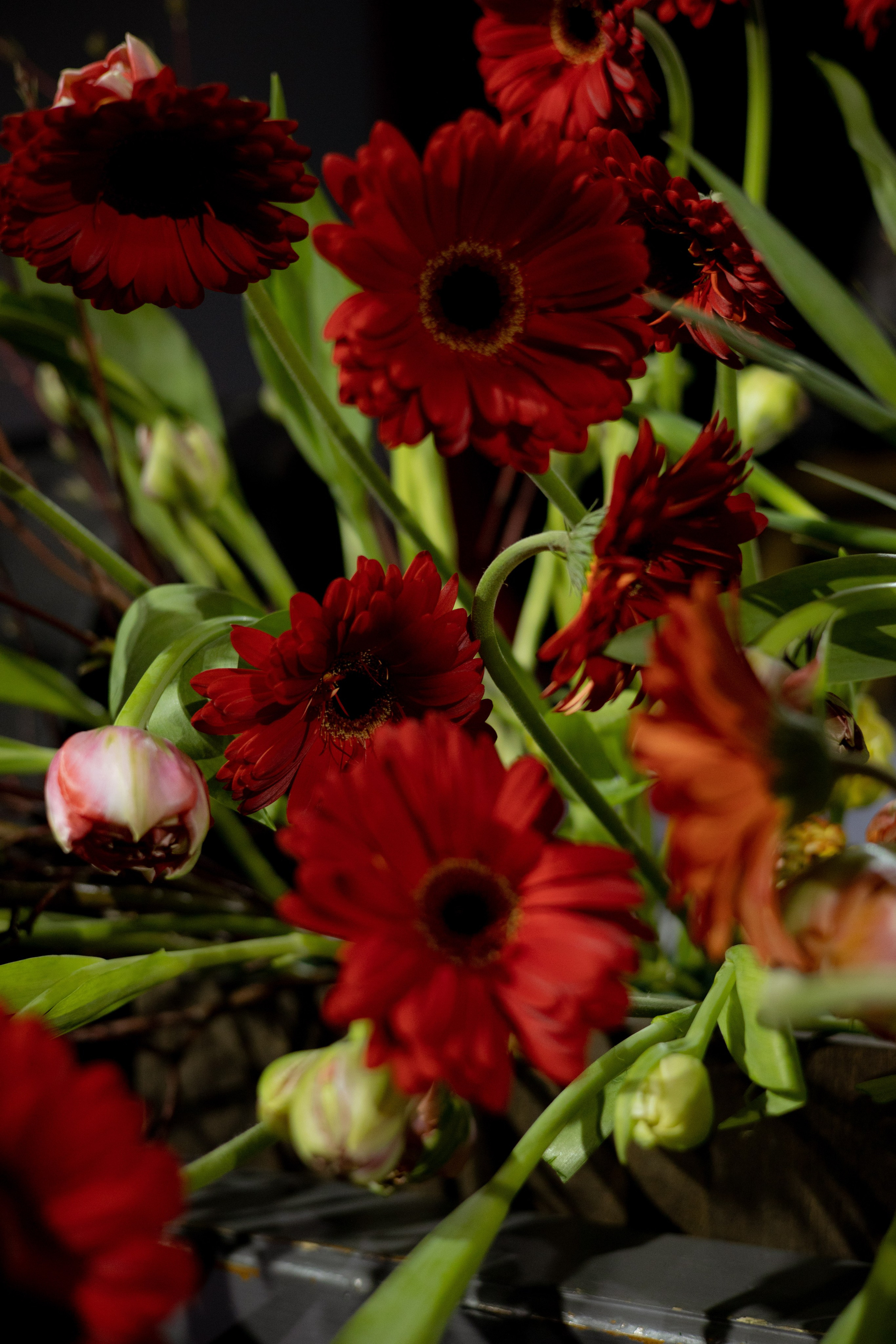 Оформление Отчетного концерта Музыкальной школы Глазунова. Оформление свадеб, декор свадеб Вера Маркова, Москва