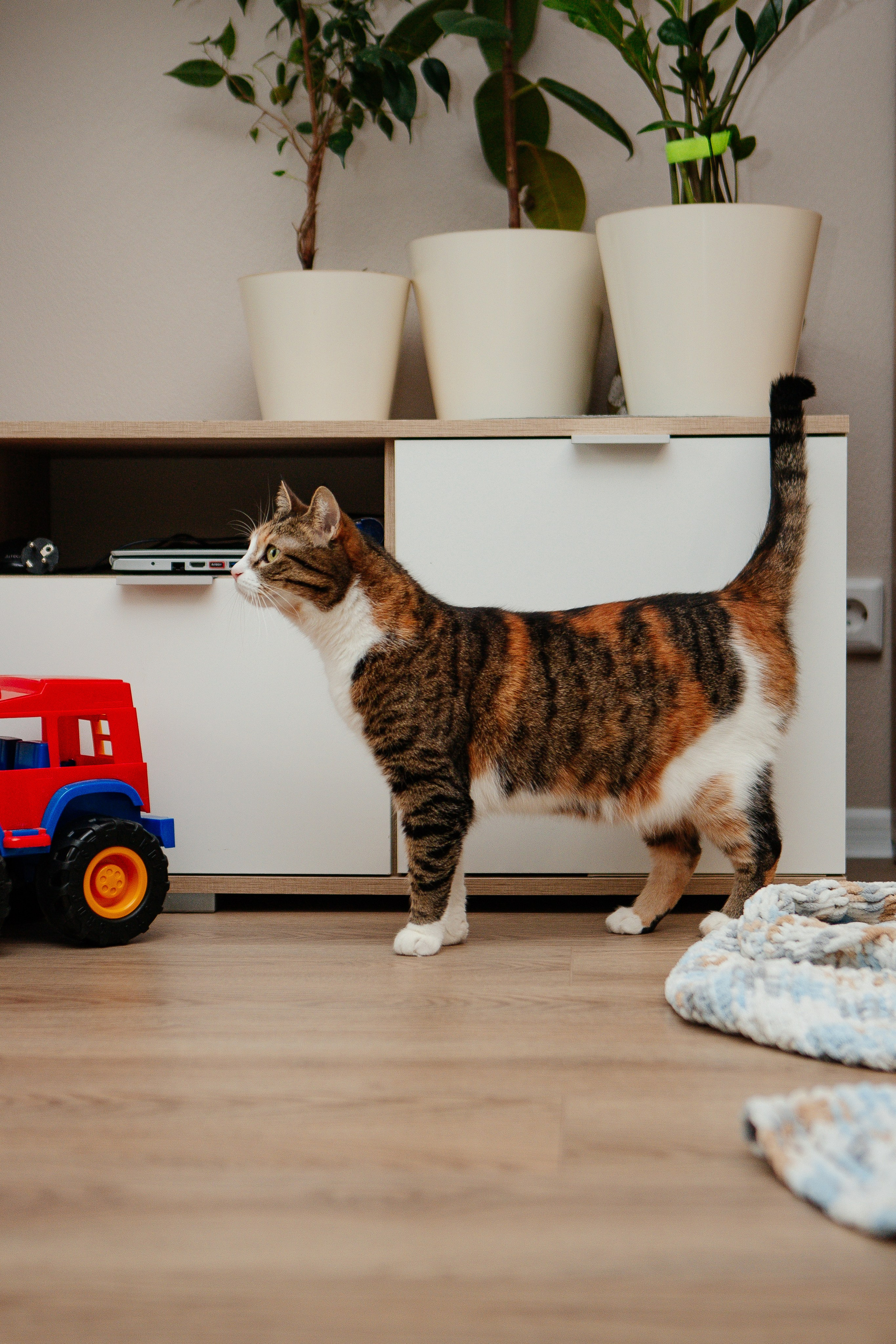 Роман и его семья. Семейный и детский фотограф в Москве Александра Мак