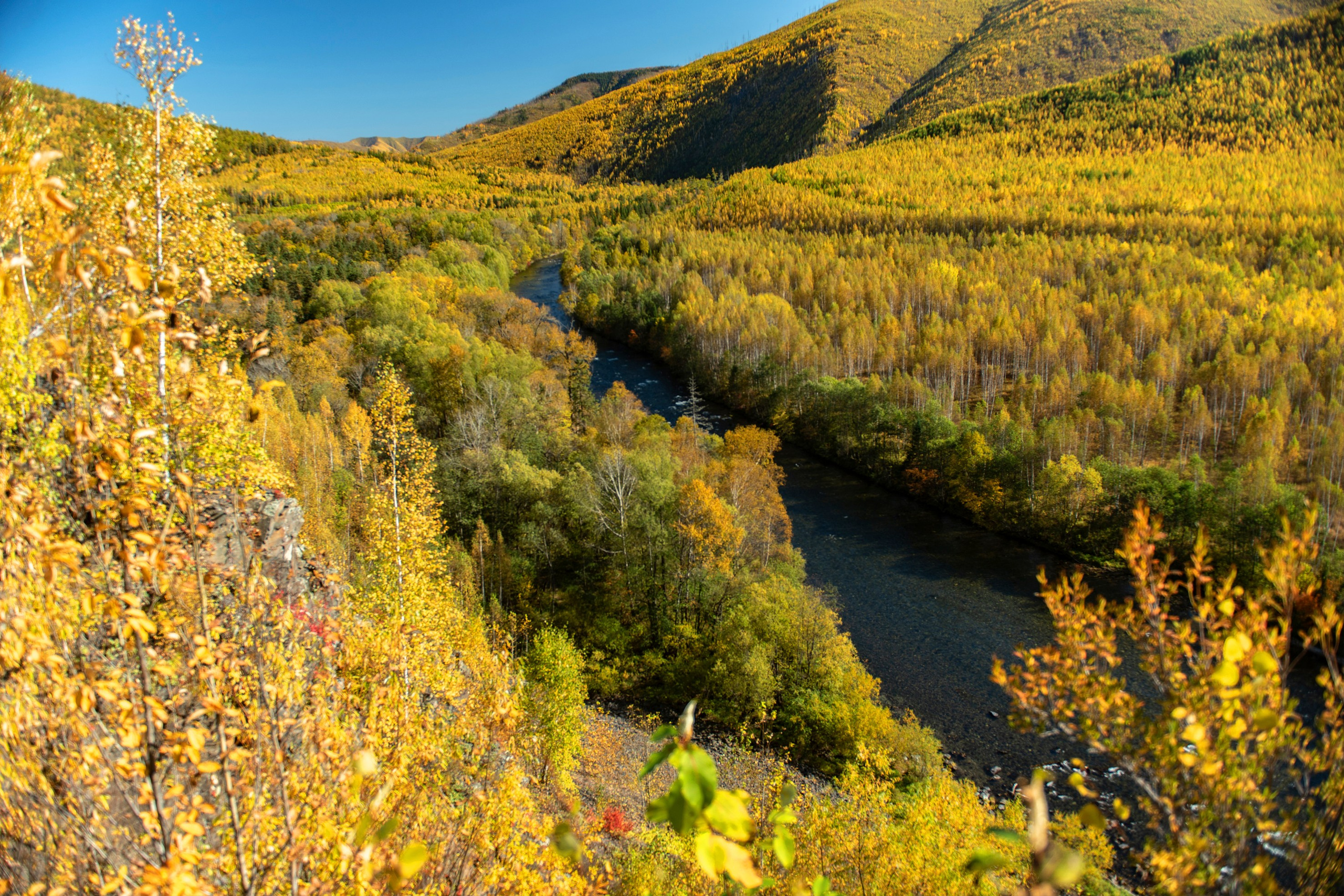 Природа Хабаровского края. Команда фотографов Кристины Ивановой