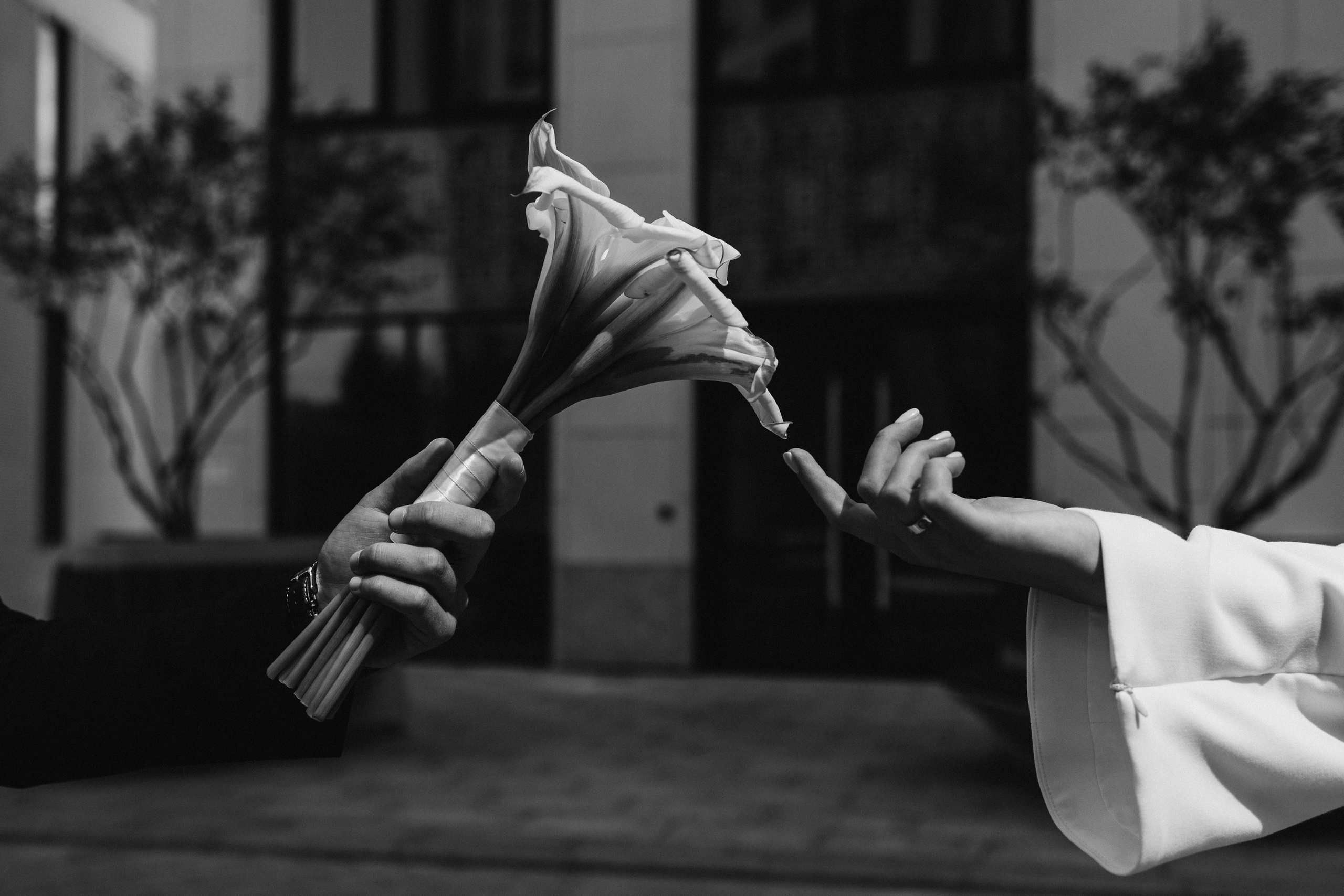 Кристина и Сергей 2023. Свадебный фотограф Роман Медведев , Минск, Беларусь