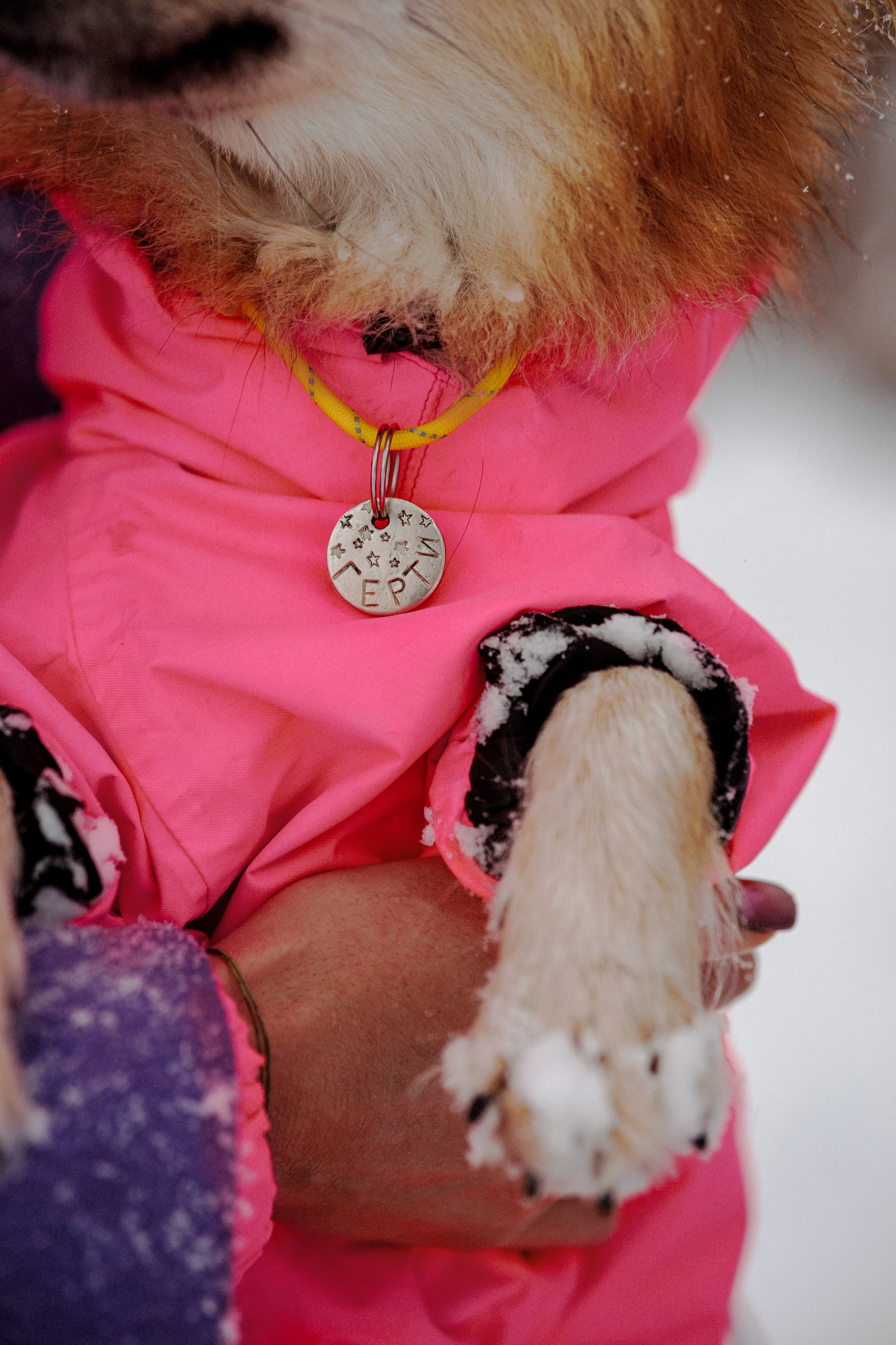 Сестры. Фотограф в Санкт-Петербурге Алёна Губинская