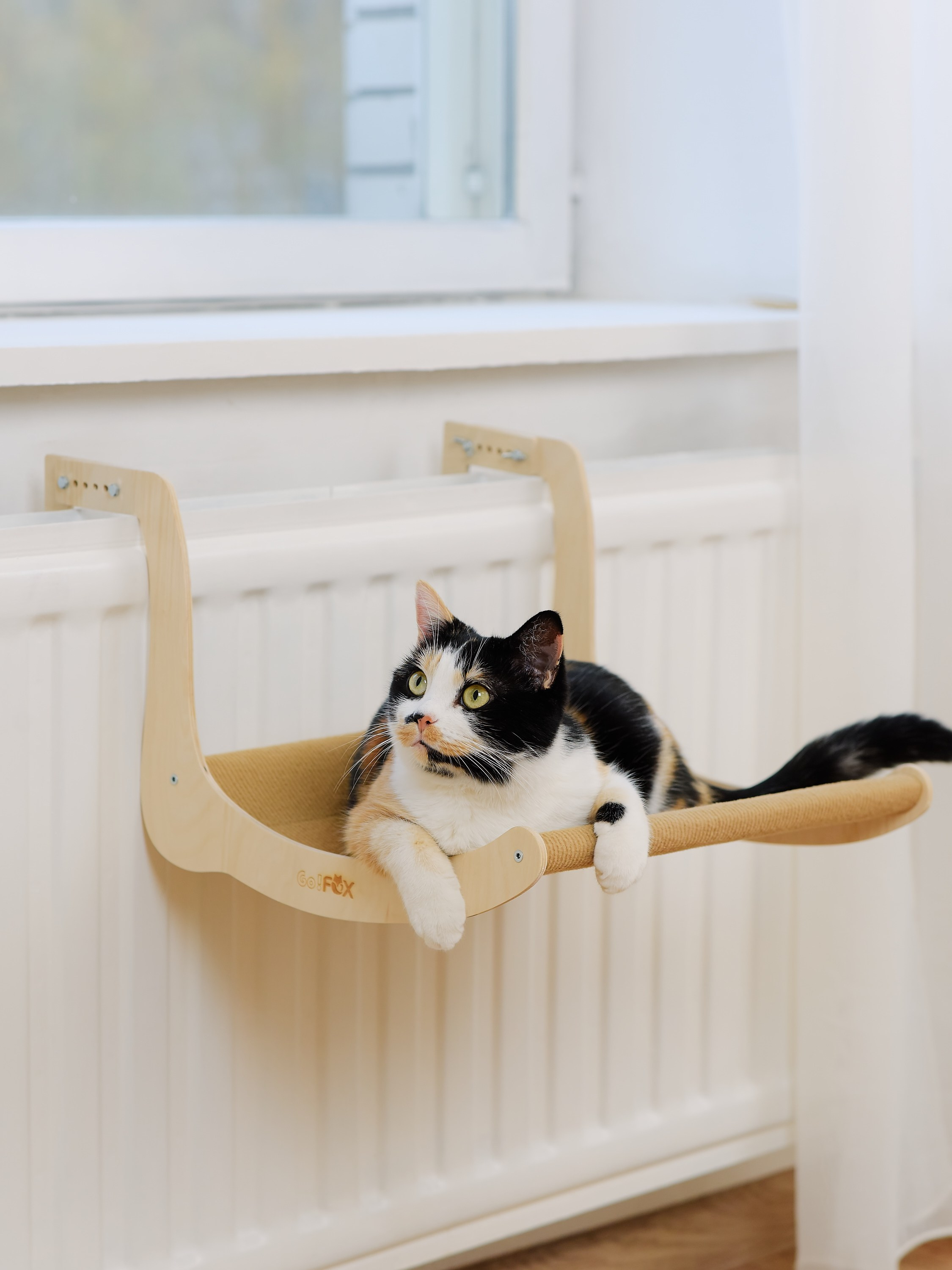 Товары для животных. Предметный фотограф, инфографика и видео в Санкт-Петербурге