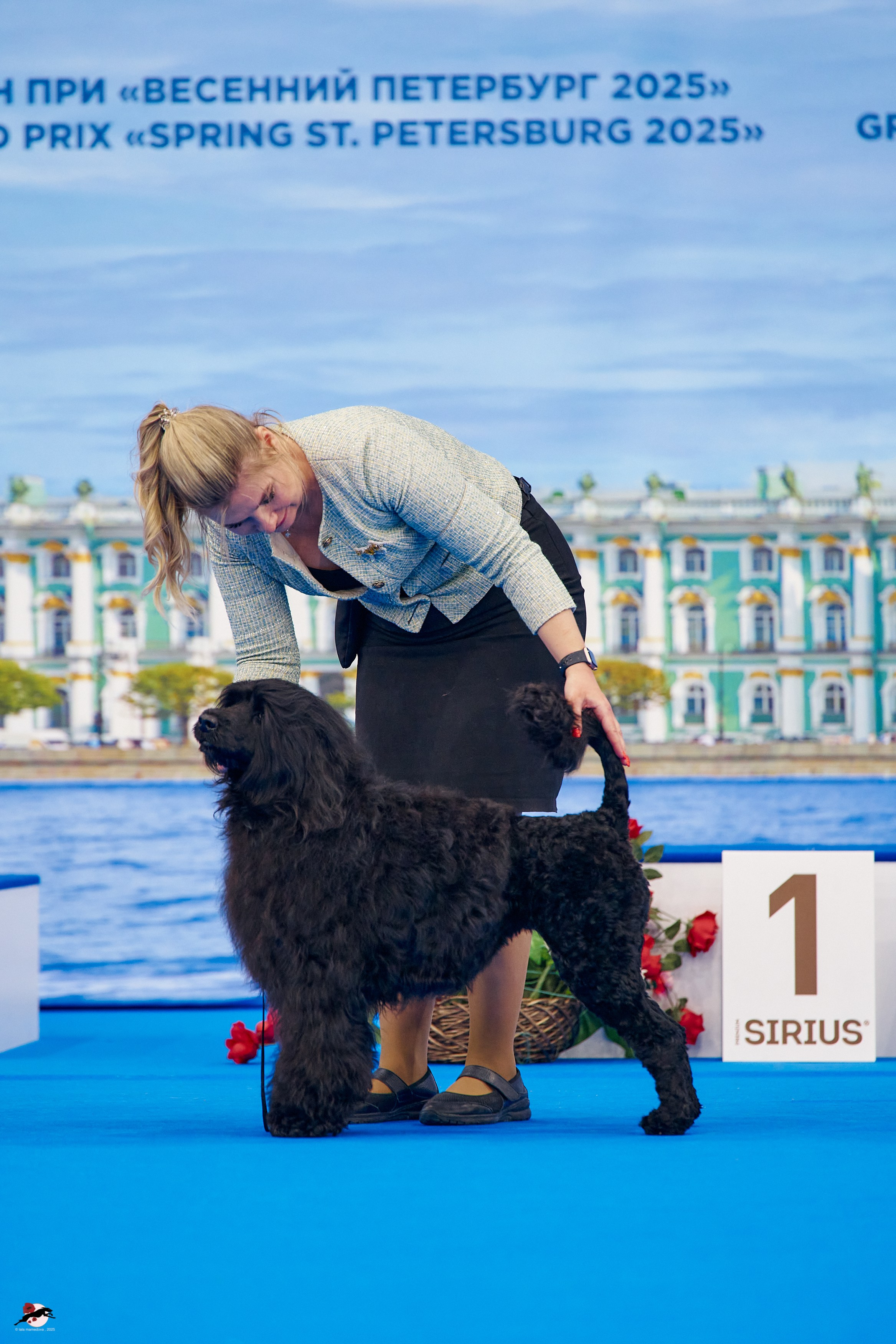 27.04.2025 | "Петербург-Элита 2025" & «КУБОК «ЭЛИТЫ»-2025»