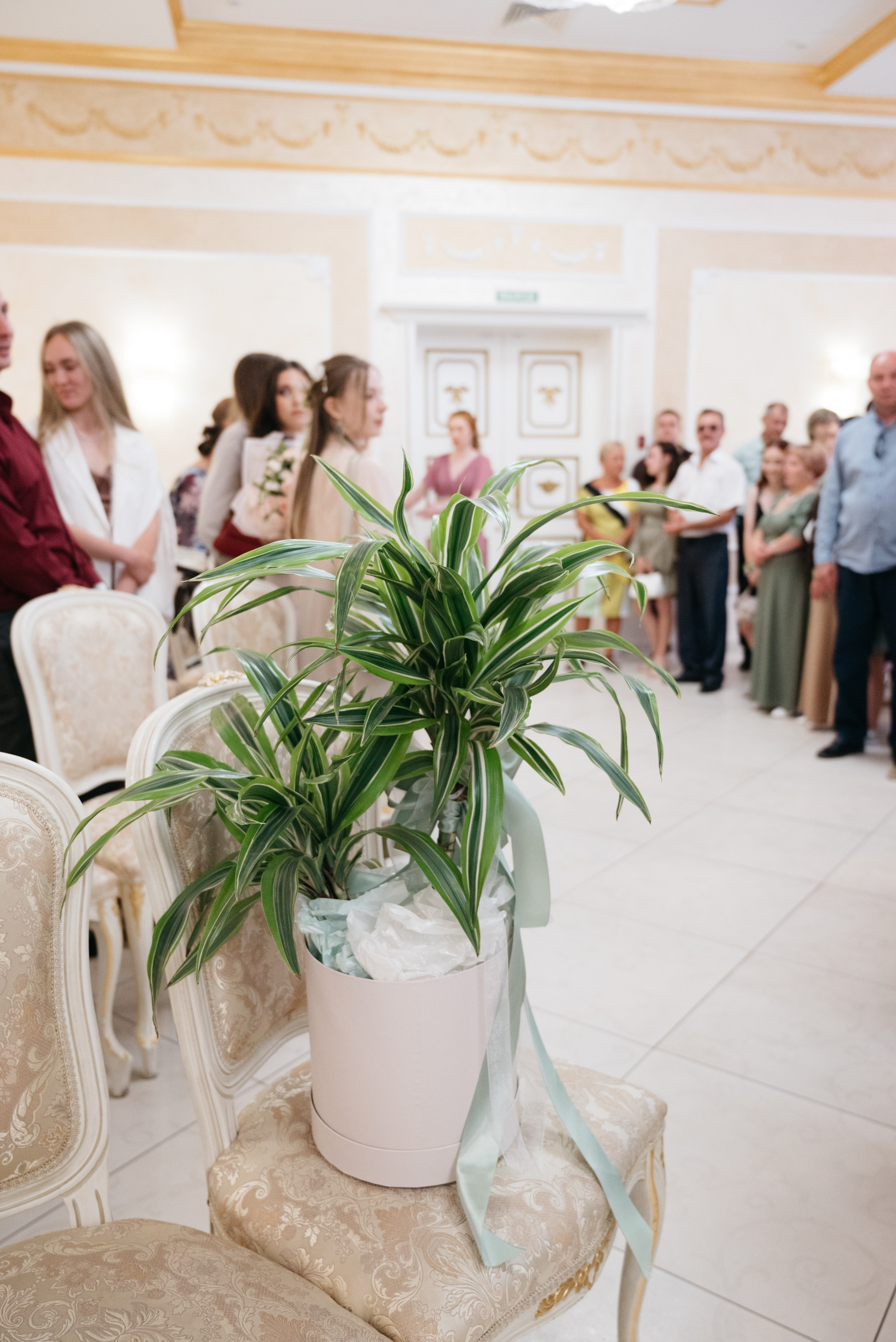 Татьяна&Илья. Свадебный фотограф Ижевск Петр Шишков