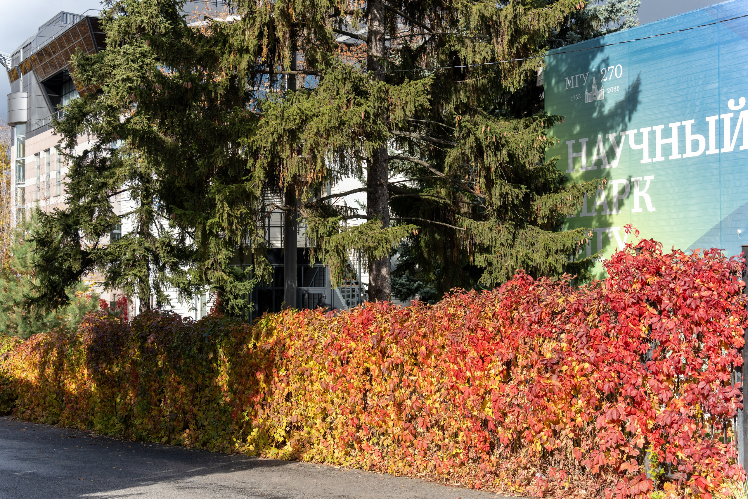 20251012 МГУ. Дмитрий Ремизов. Фотография, как хобби