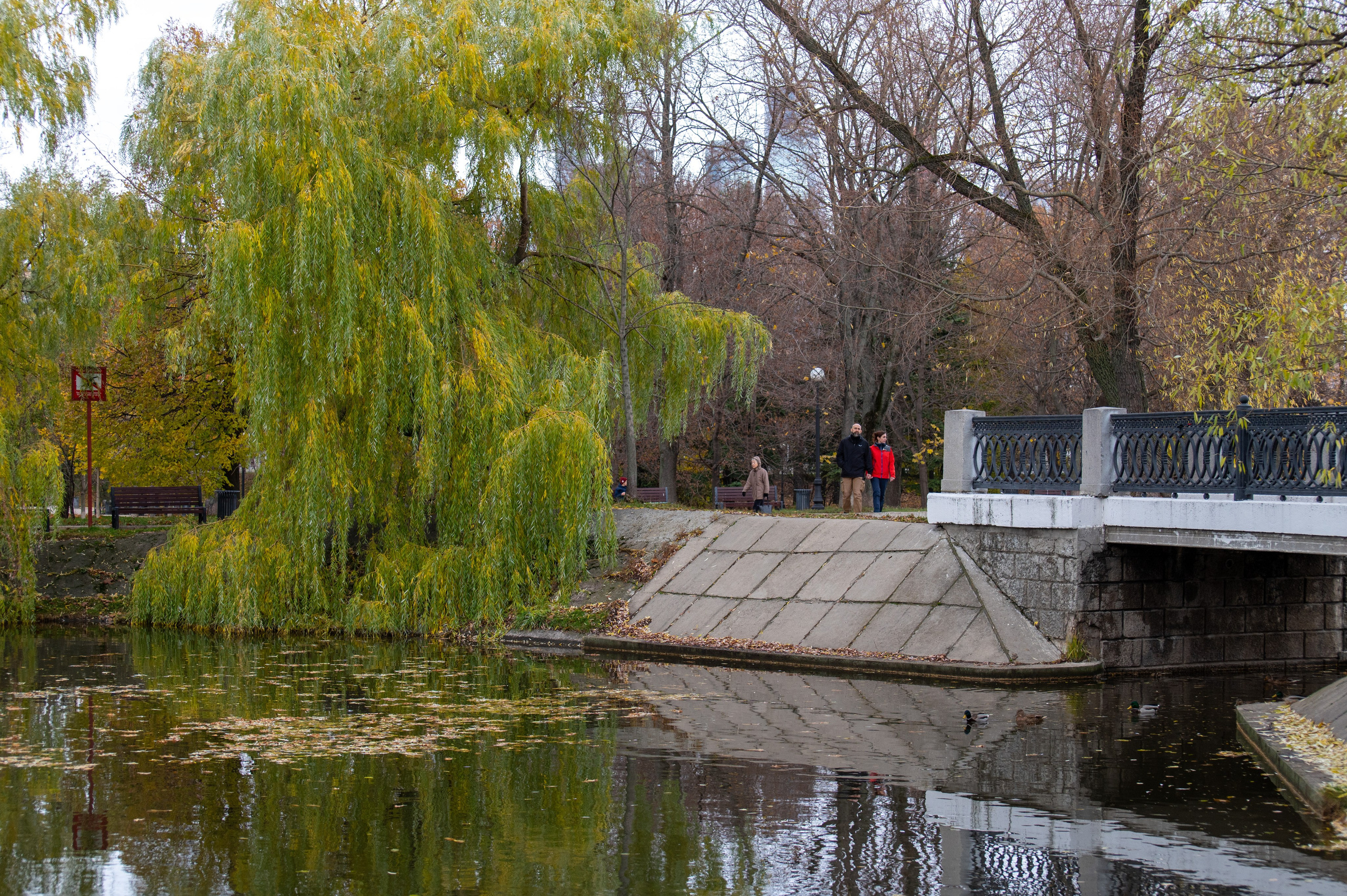20221030 Новодевичий. Дмитрий Ремизов. Фотография, как хобби