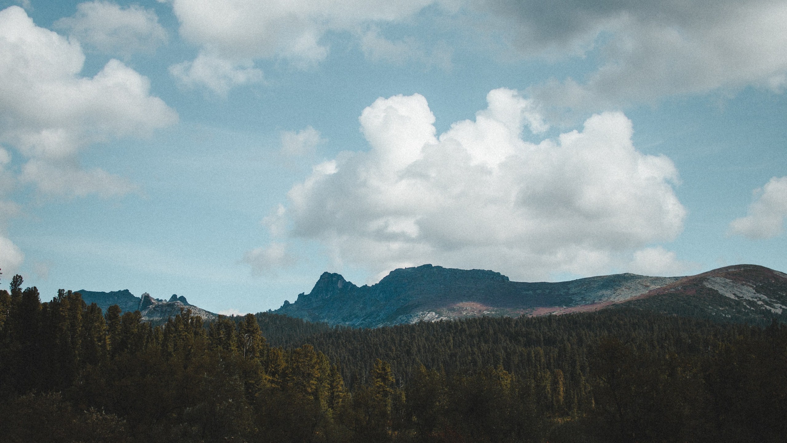 Other. Фотограф Абакан|Фрейман Никита