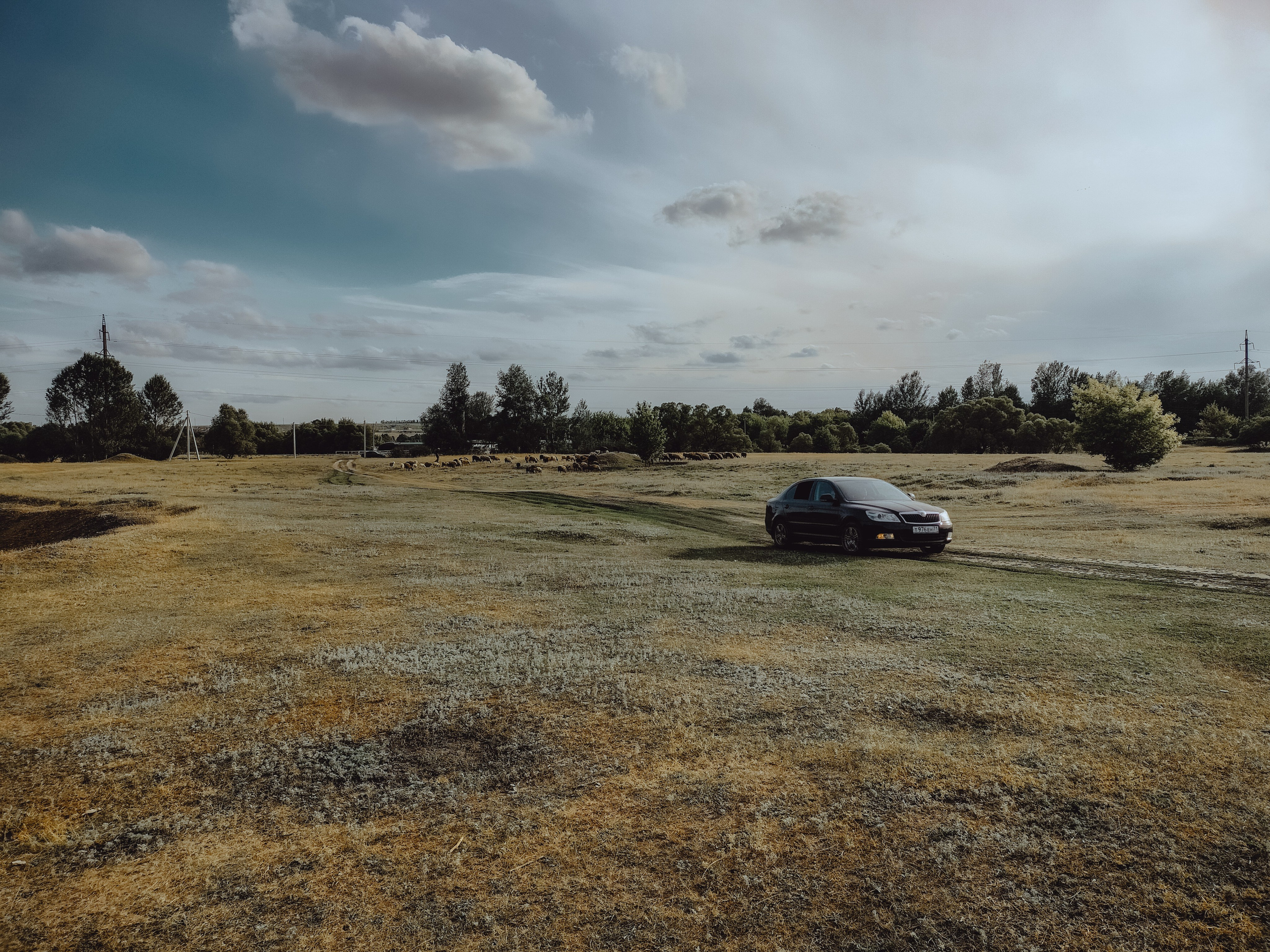 Земля. Фотограф Старый Оскол Мавлыга Мария