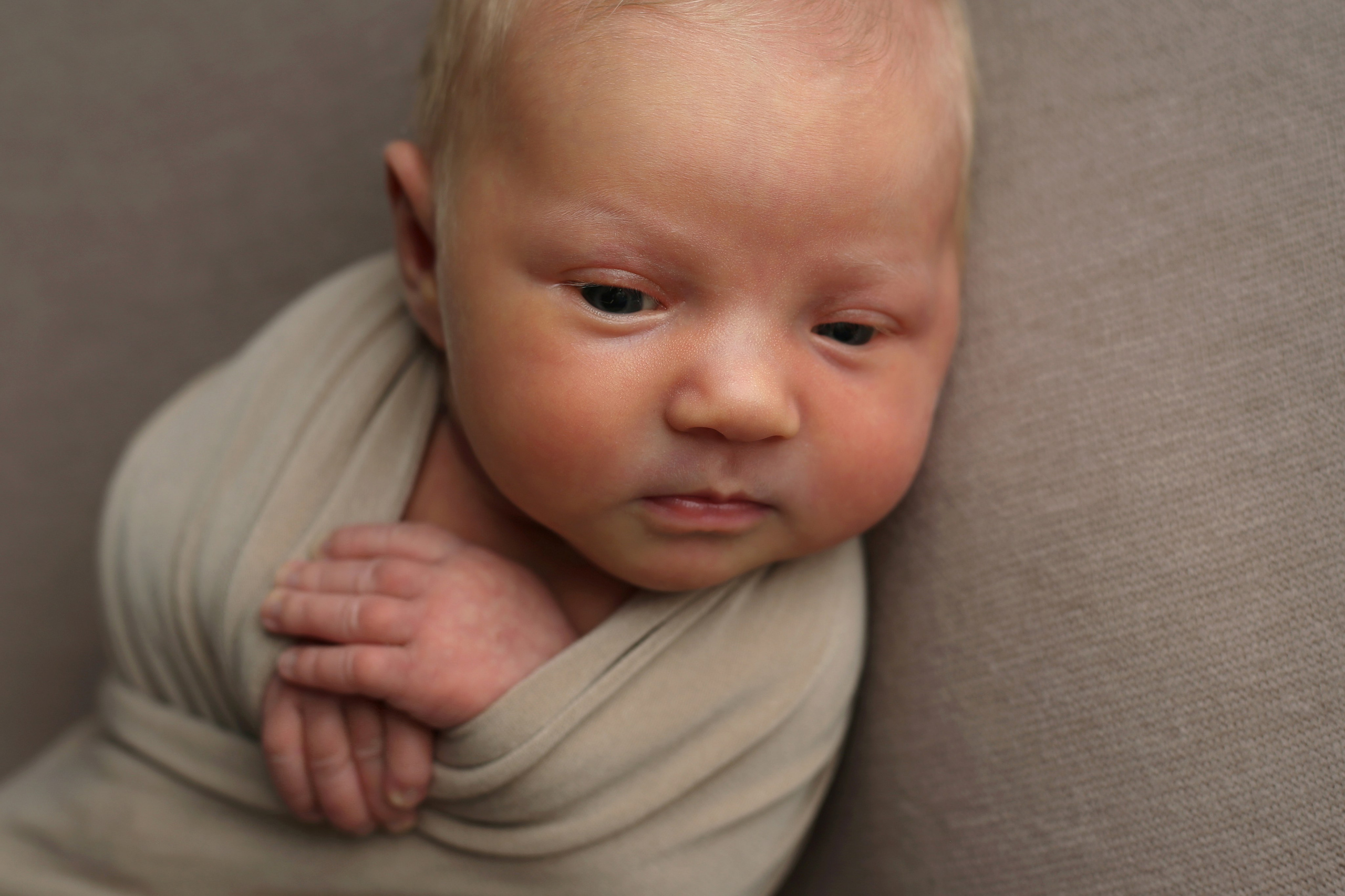 АГАТА (новорожденные). Главная