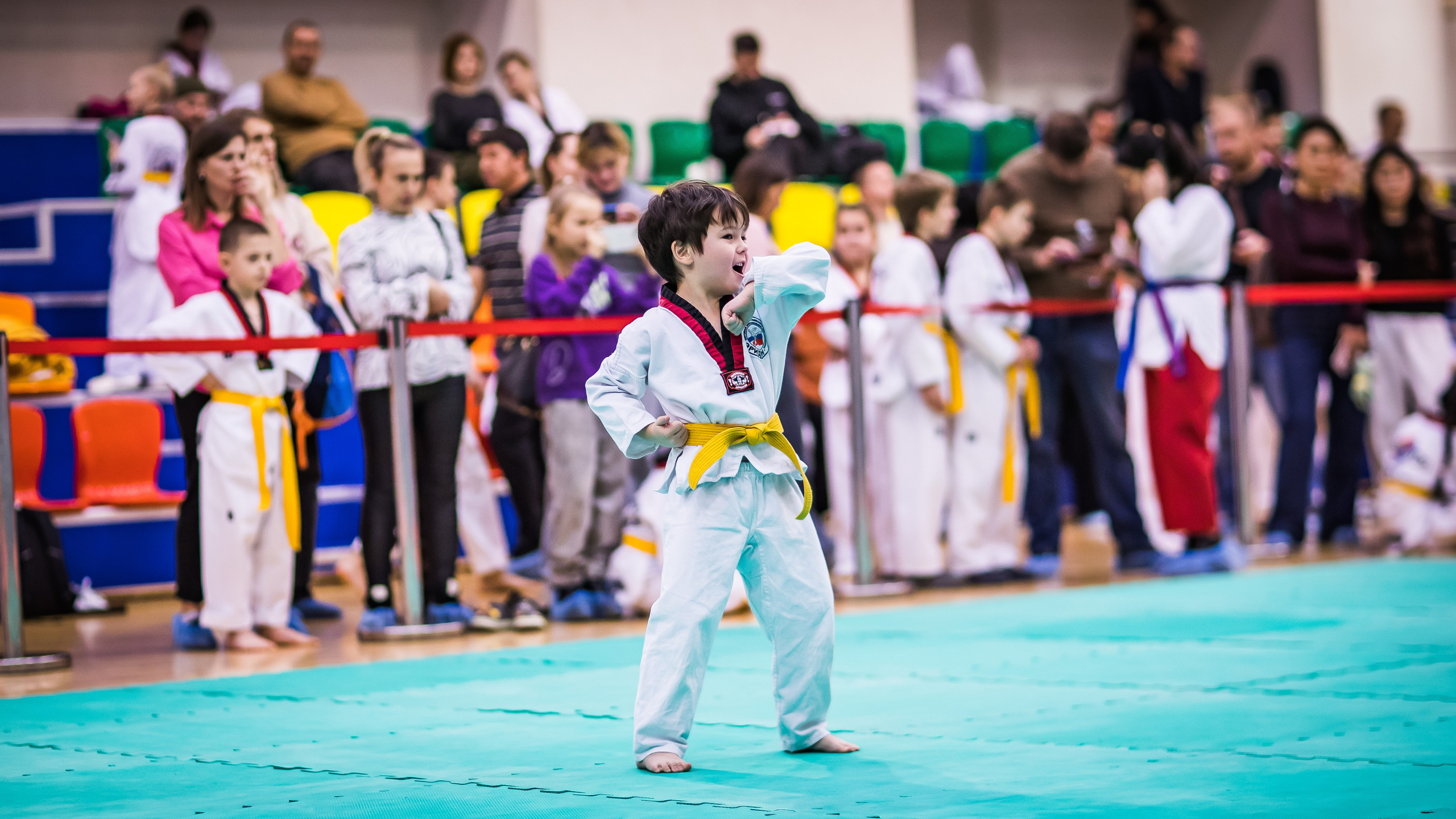 Турнир Федерации детского тхэквондо России по дисциплине ПХУМСЭ. Спортивный фотограф Максим Серегин