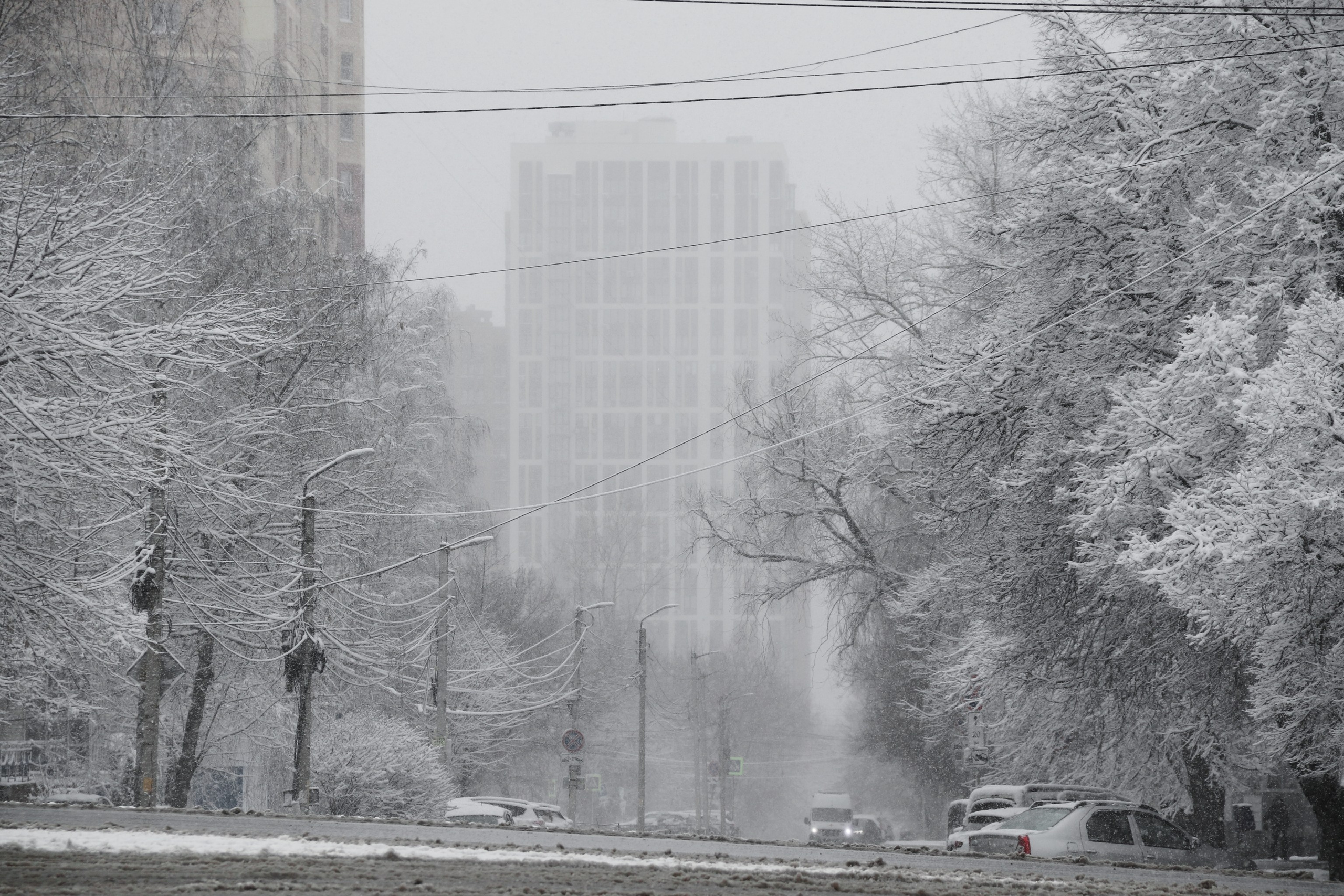 Монохромность марта. С любовью, фотохудожник
