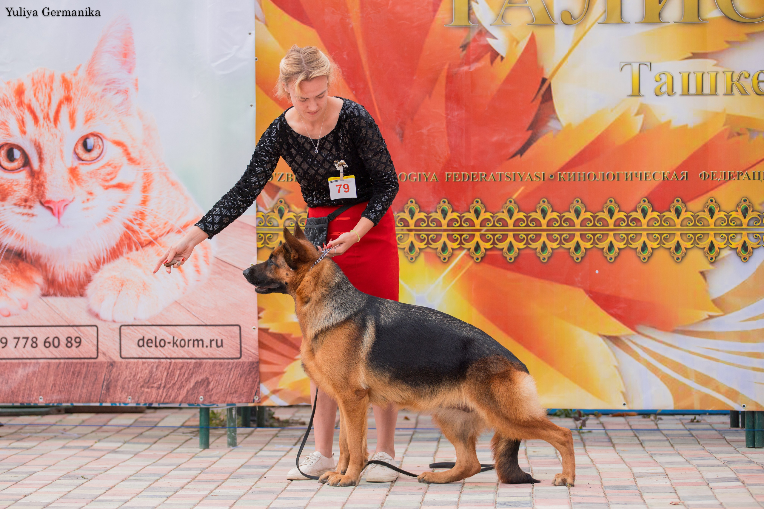 Ташкент 6-8.10.2023 + Алматы 14-15.10.2023. Фотограф-анималист Юлия Германика