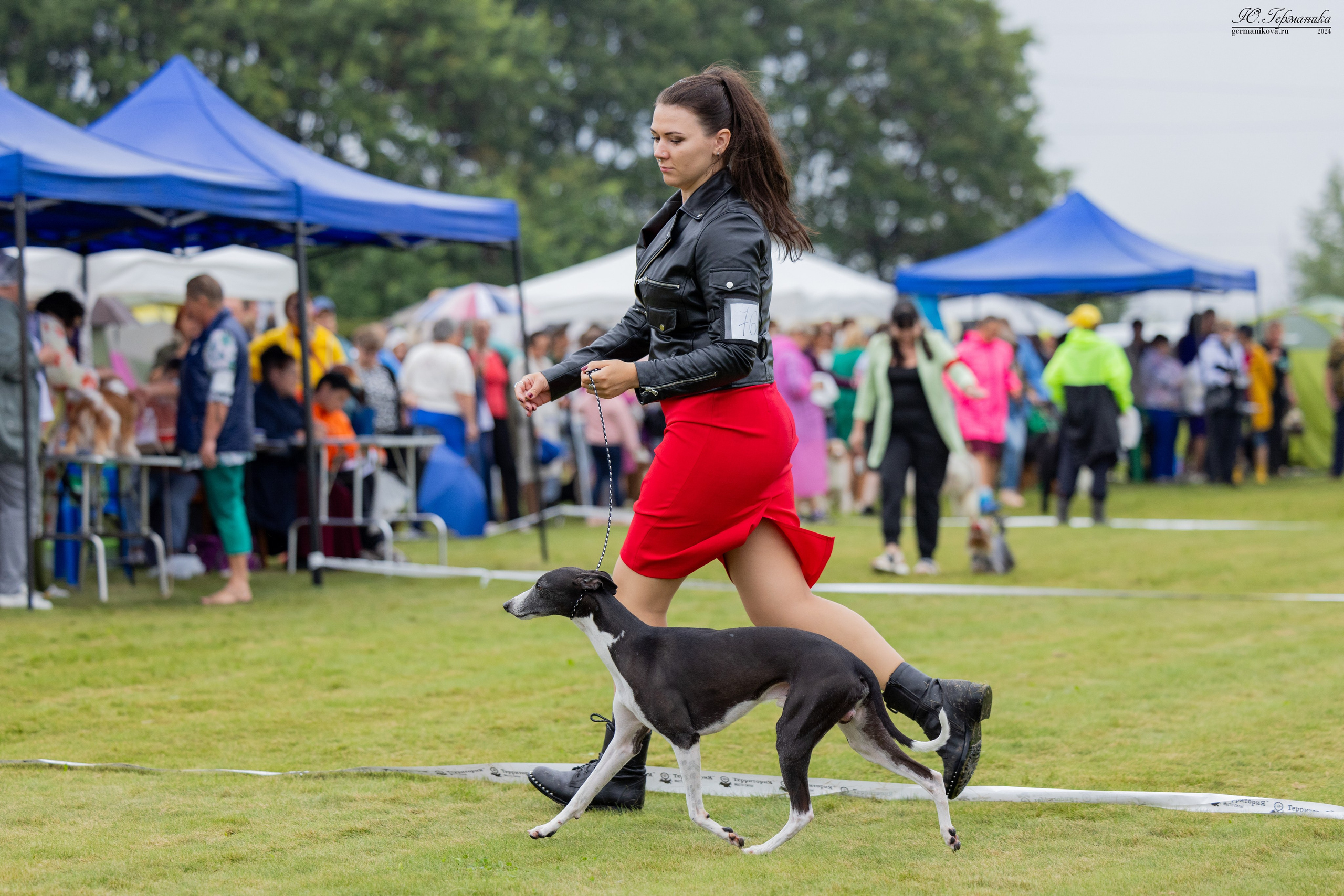 Ярославль 21.07.24 и Балашиха 13.07.24. Фотограф-анималист Юлия Германика