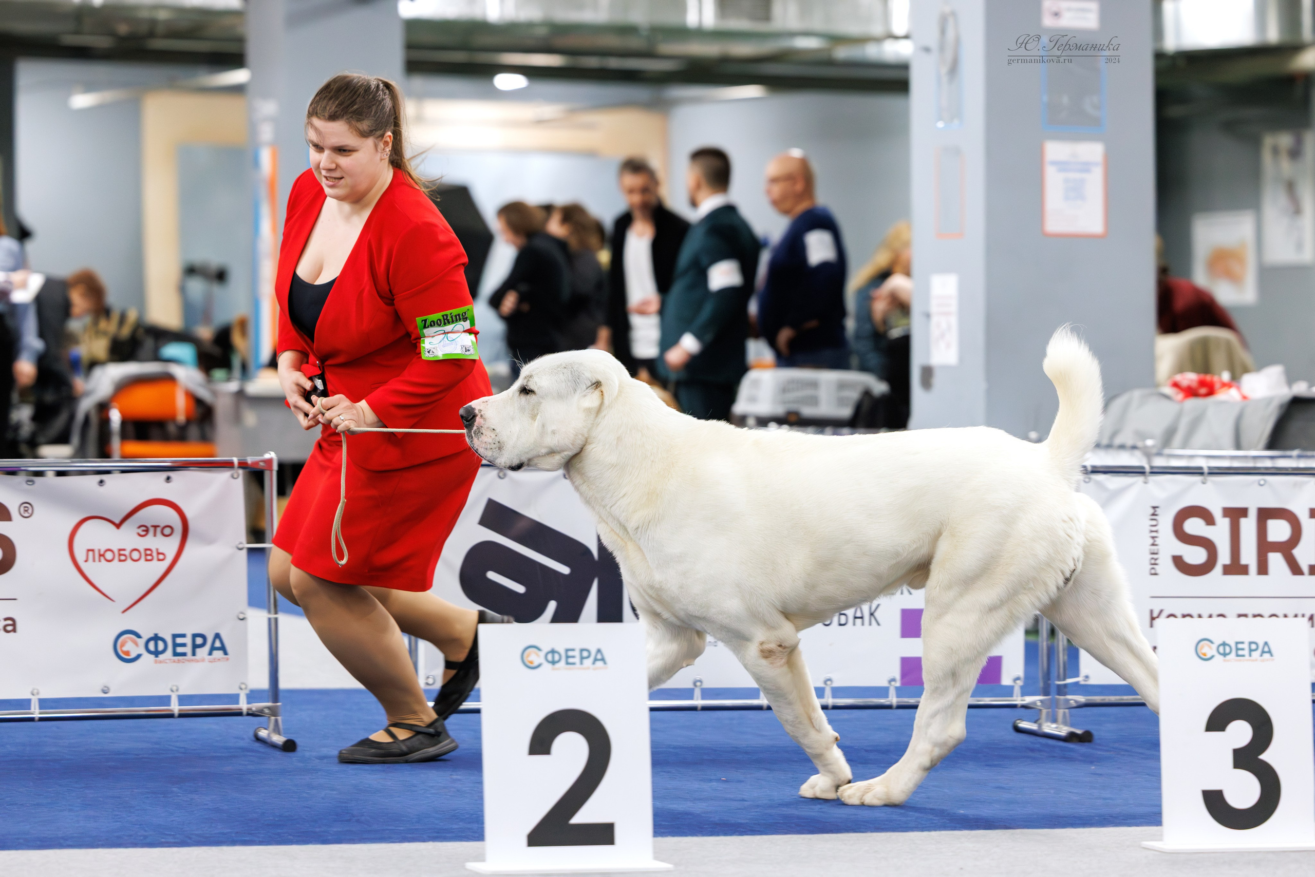 Сфера 06.04.2025. Фотограф-анималист Юлия Германика