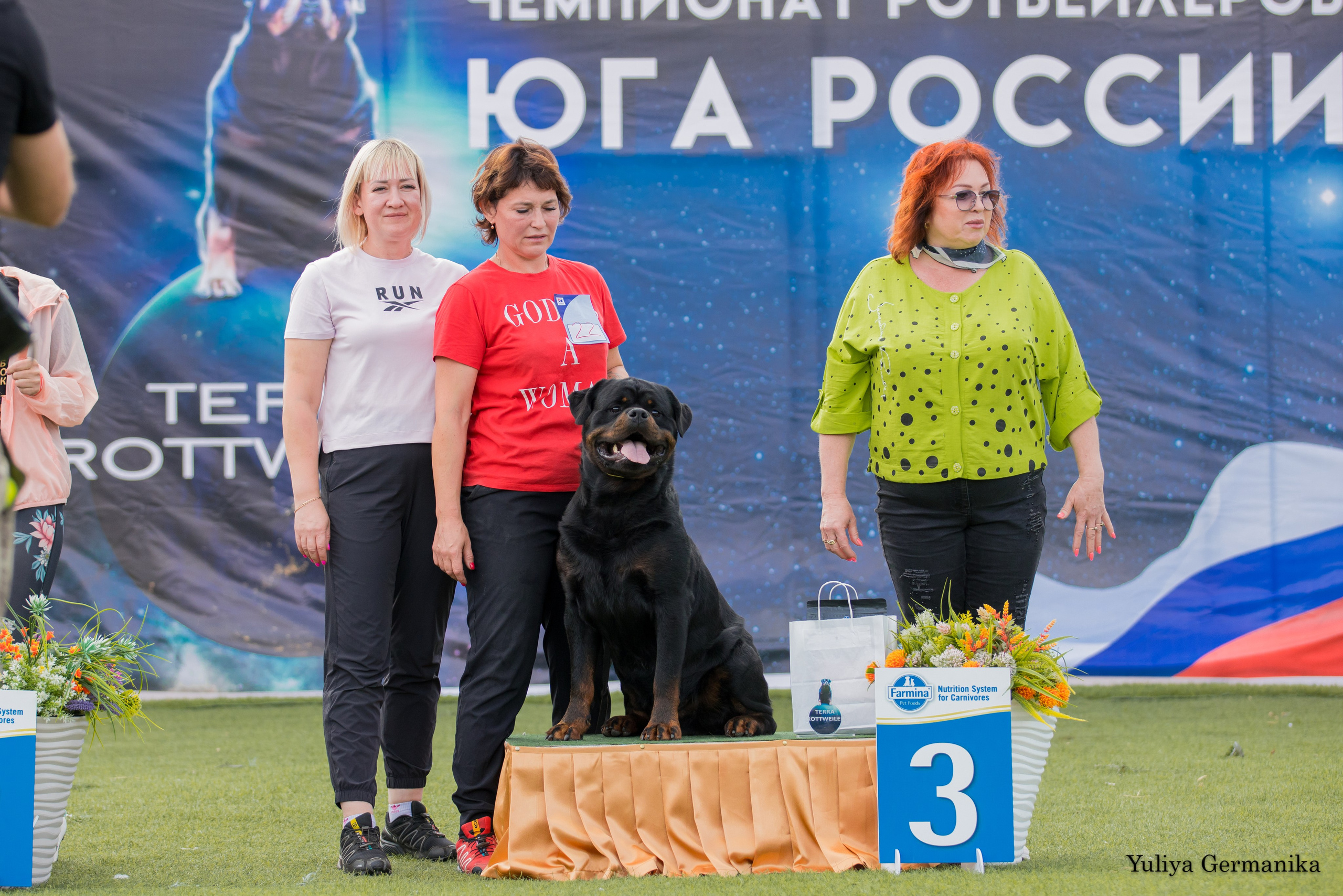 Анапа 16-17.09.2023 моно ротвейлеров. Фотограф-анималист Юлия Германика