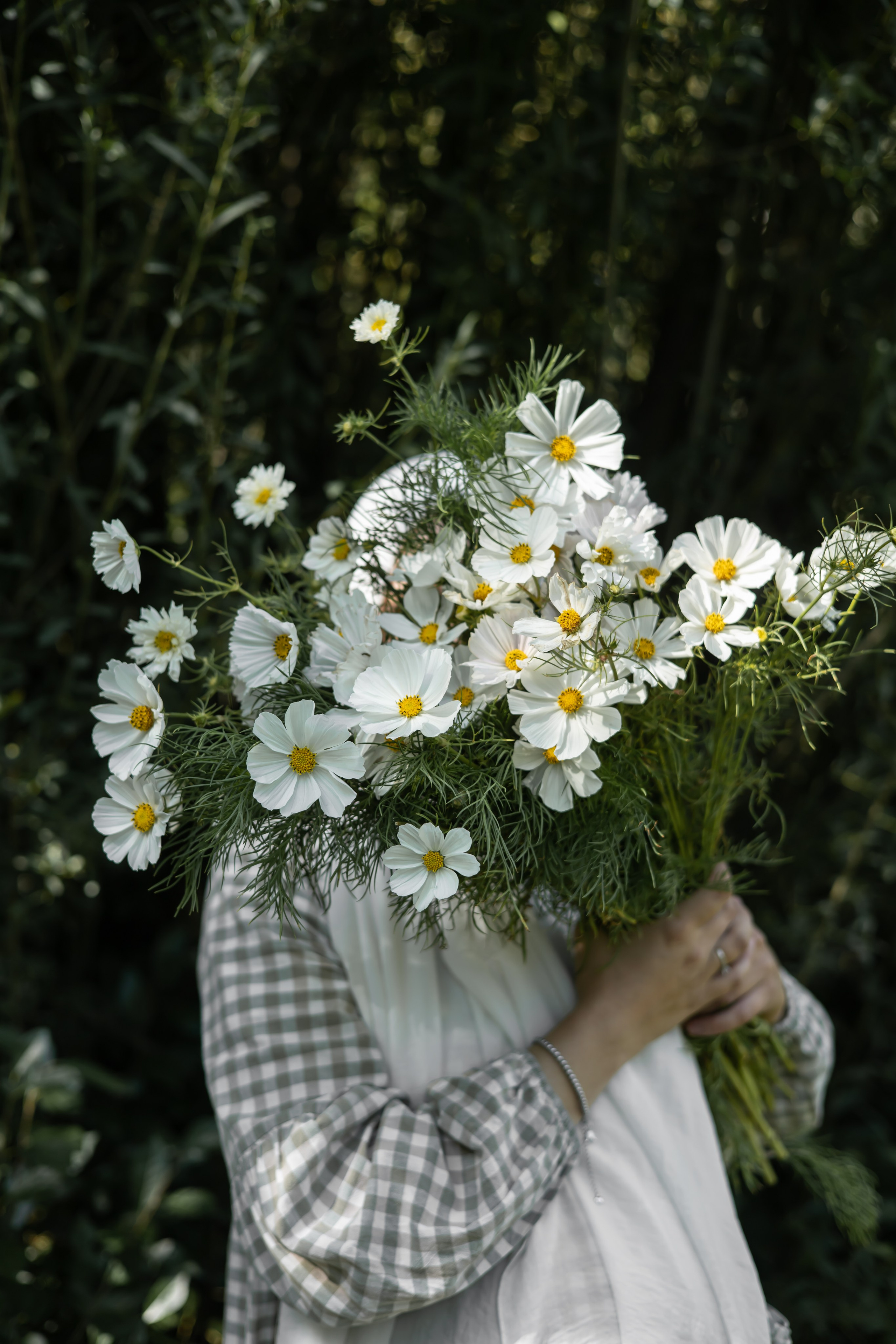 ДИНИЯ. Фотограф Элла Ефимова
