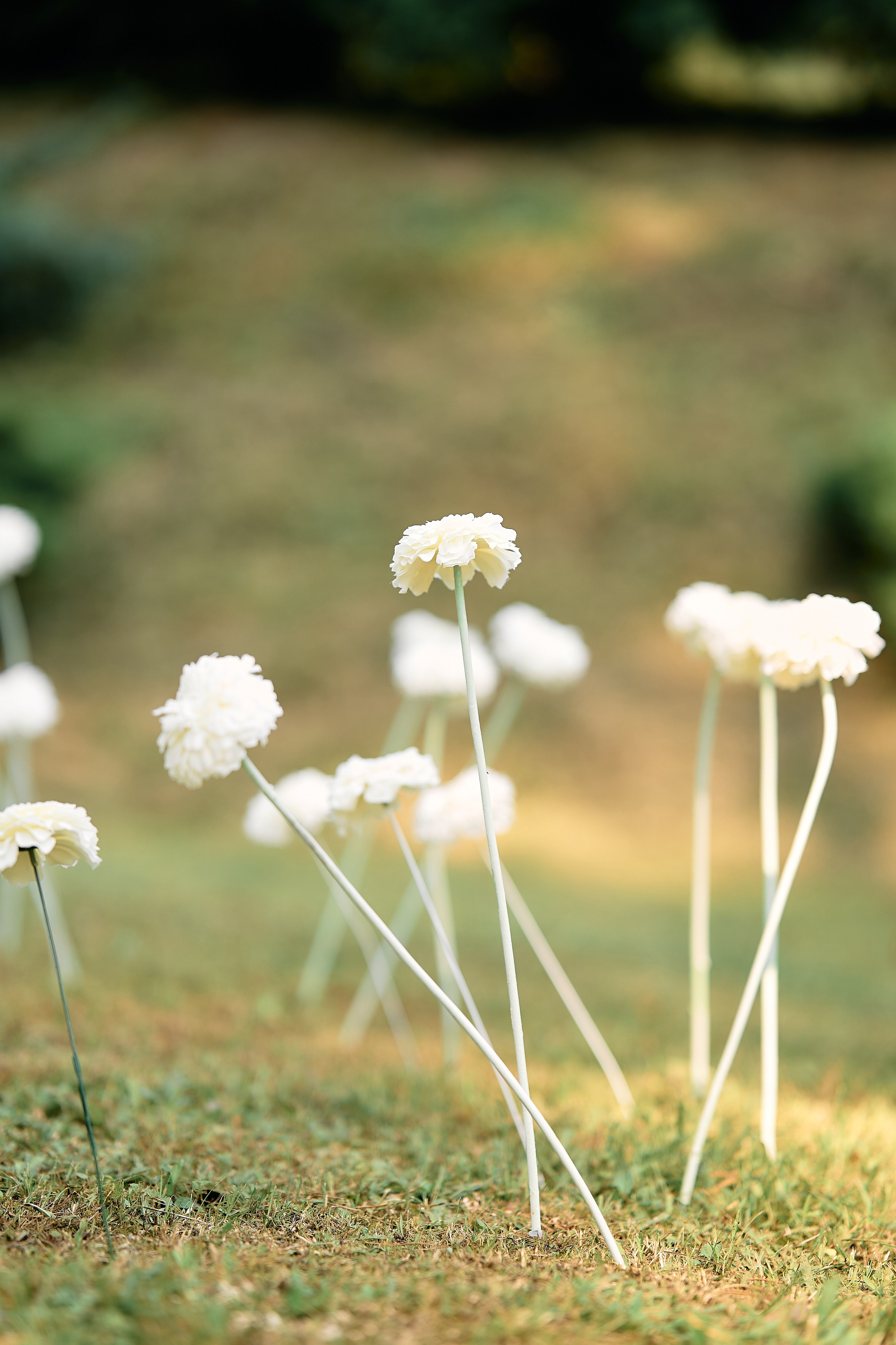 Алина и Денис. Свадебный фотограф Минск РБ