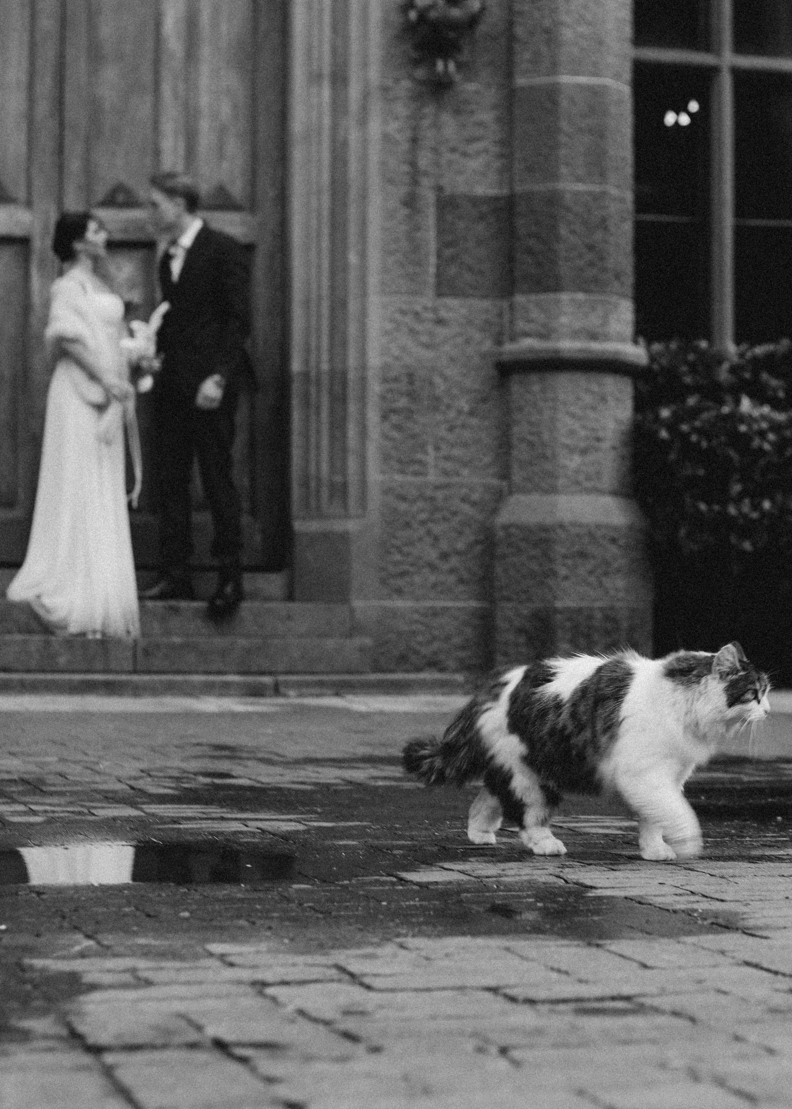 One fine day. Свадебный фотограф в Крыму Майя Гурина
