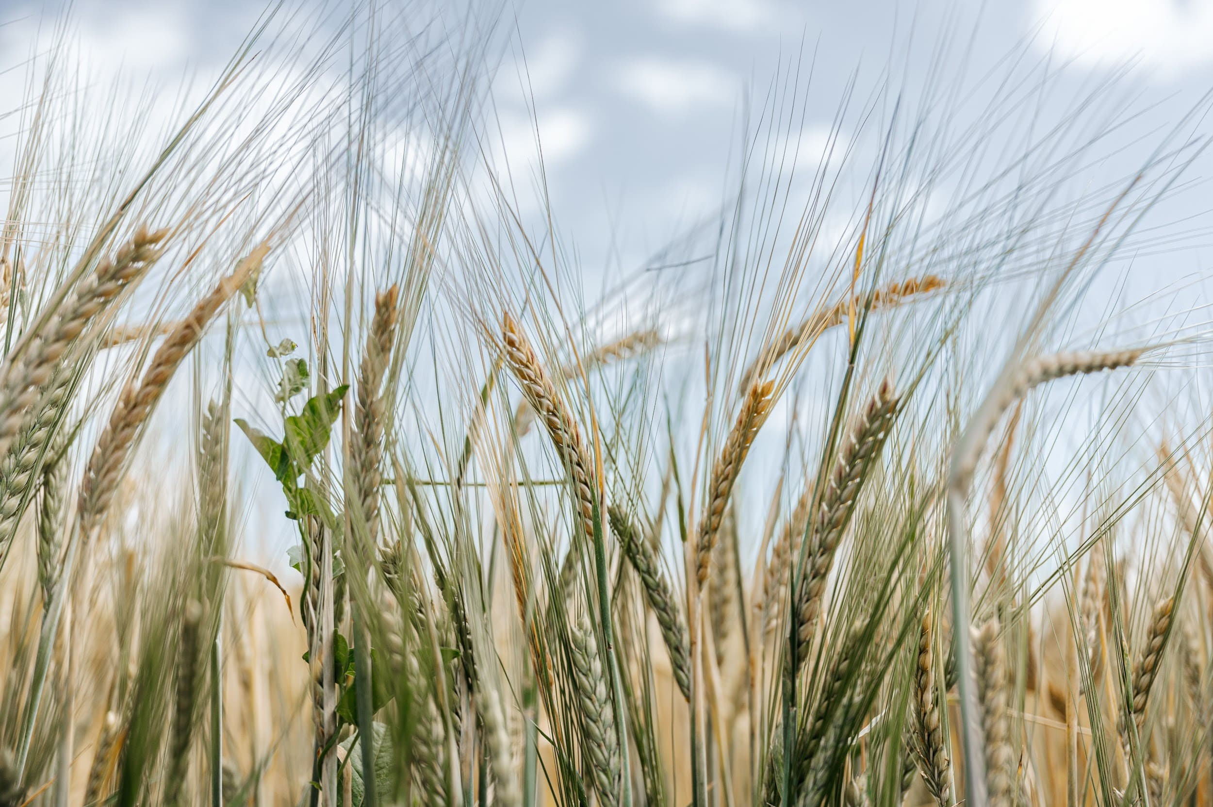 ЭКОНИВА. Владимир Дьяконов — Индустриальный и репортажной фотограф в России
