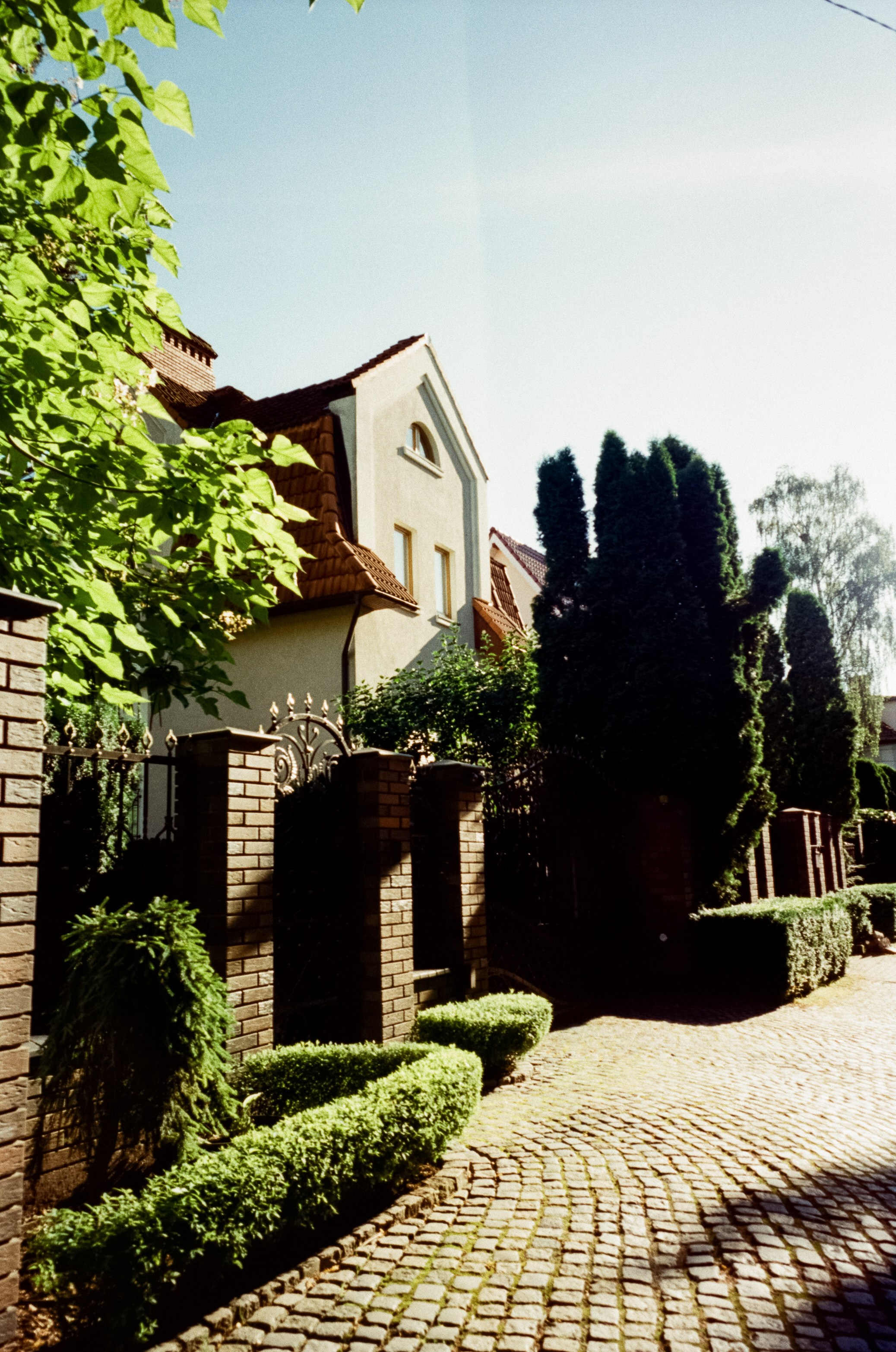 Прогулка от Площади Победы к Amalienau в golden hour. Фотограф-документалист Мария Осокина
