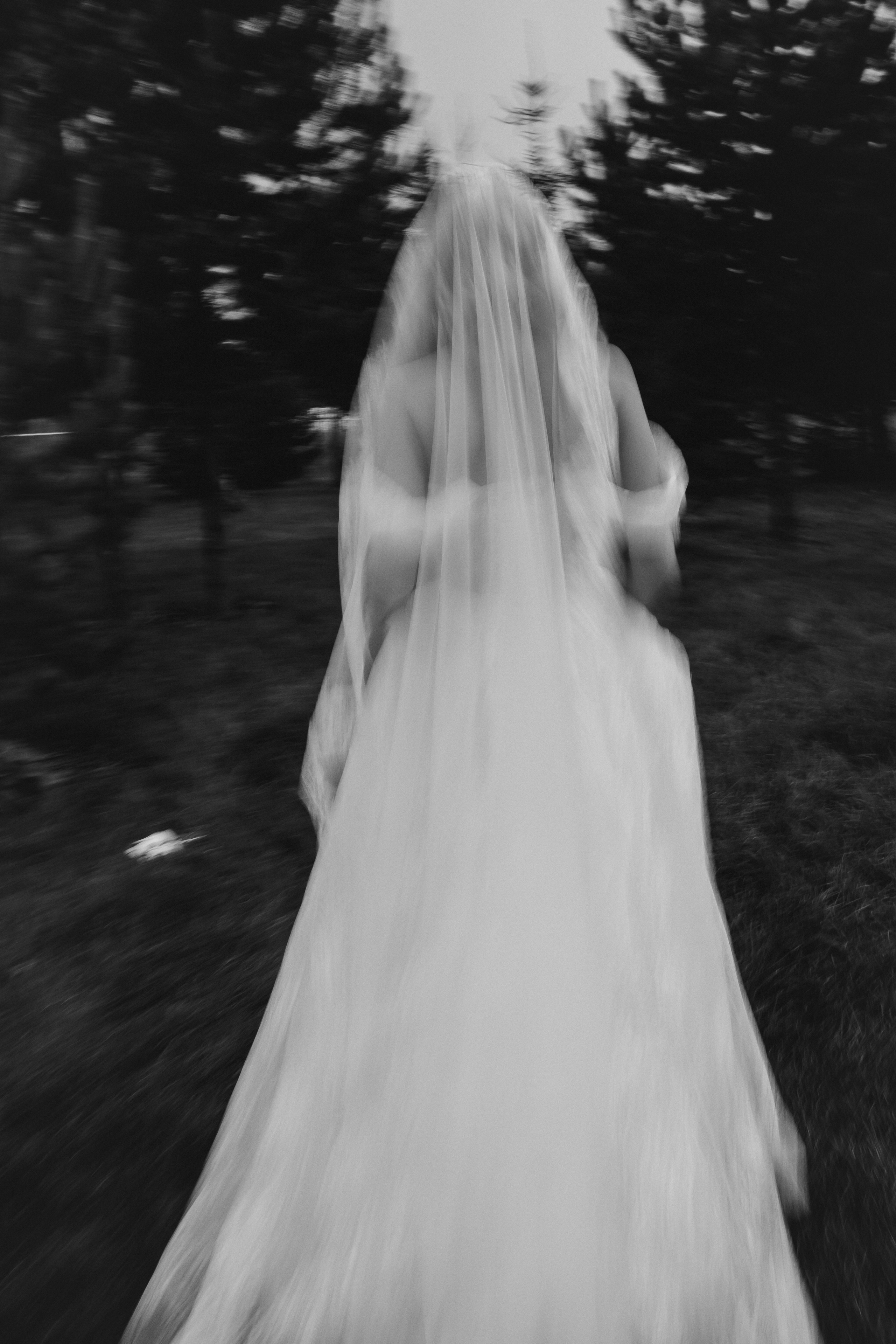 Владислав и Алина. Фотограф на свадьбу