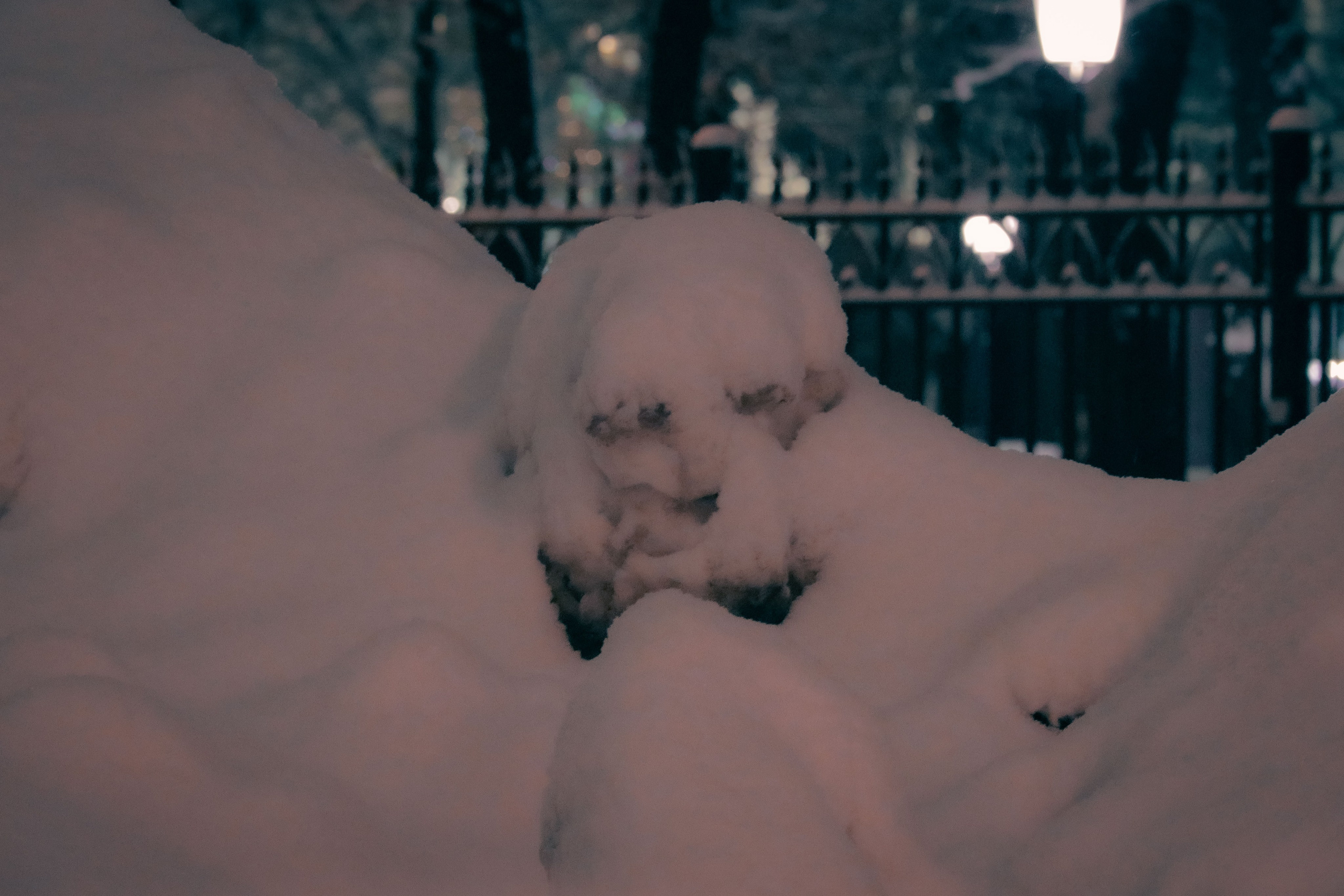 Живая планета. Фотограф художник модель Юра Козлов Москва