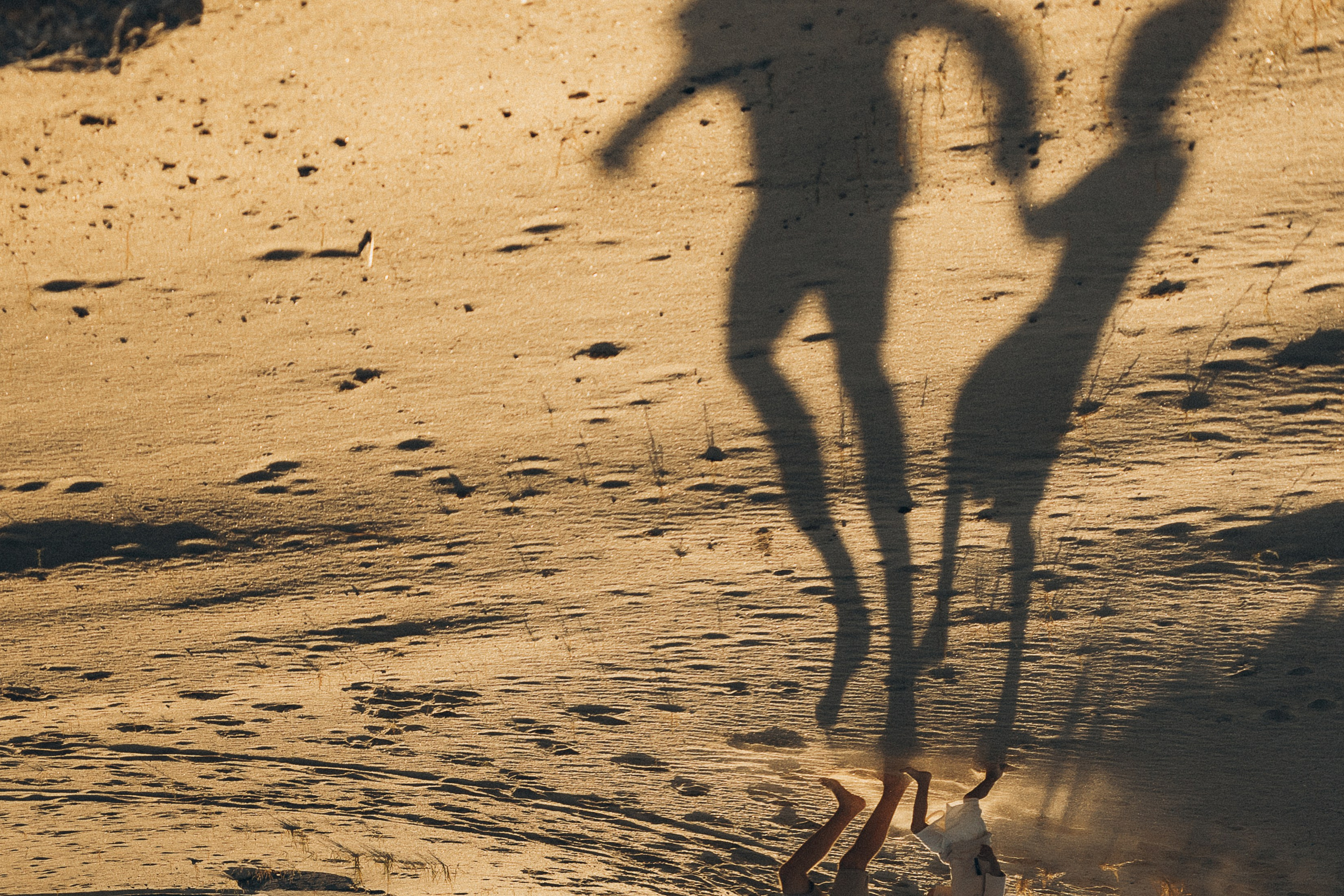 Семейный фотограф и детский фотограф в Волгограде Алеся Бутакова — дет