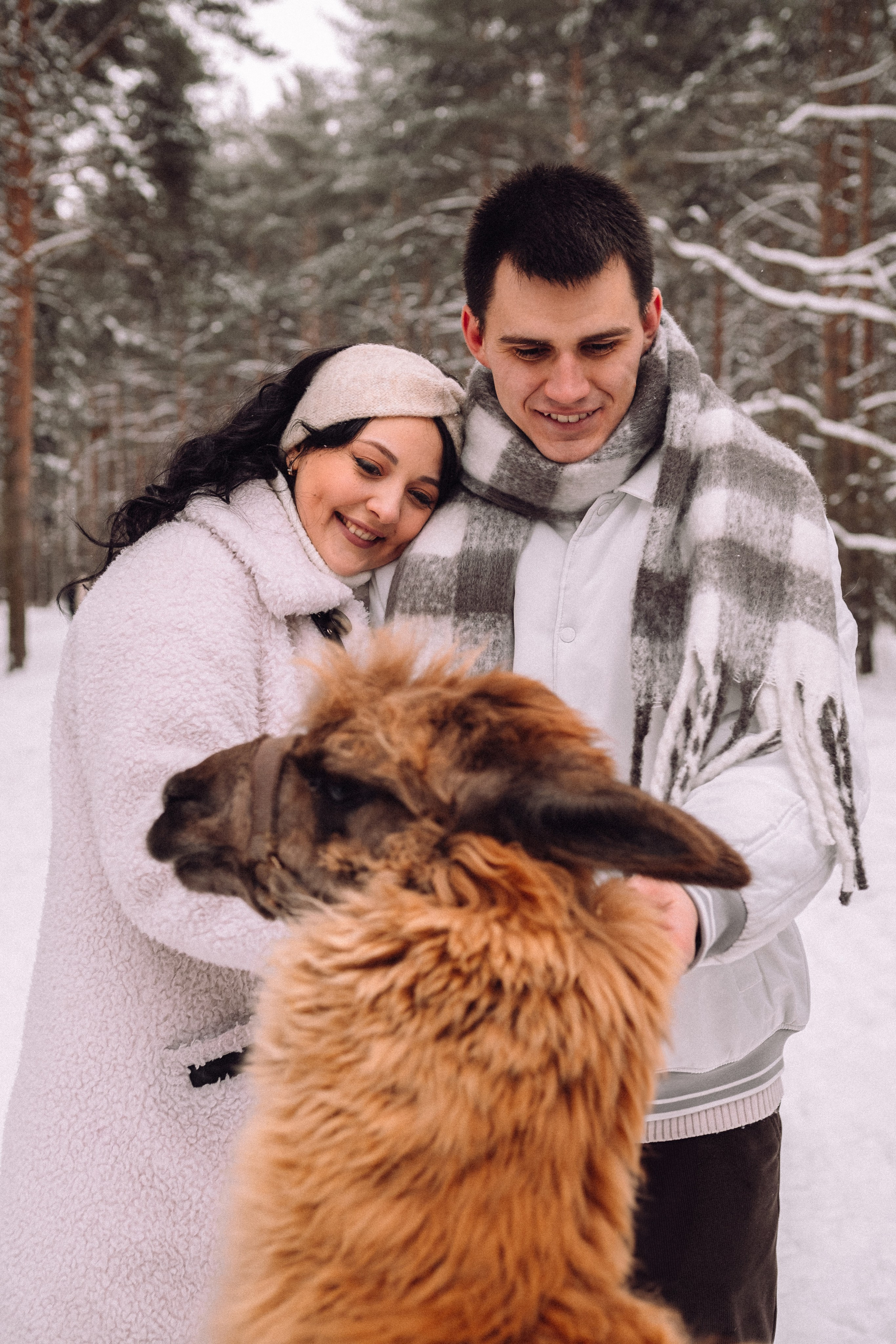С Альпакой. Фотограф в Санкт-Петербурге Кристина Брянская