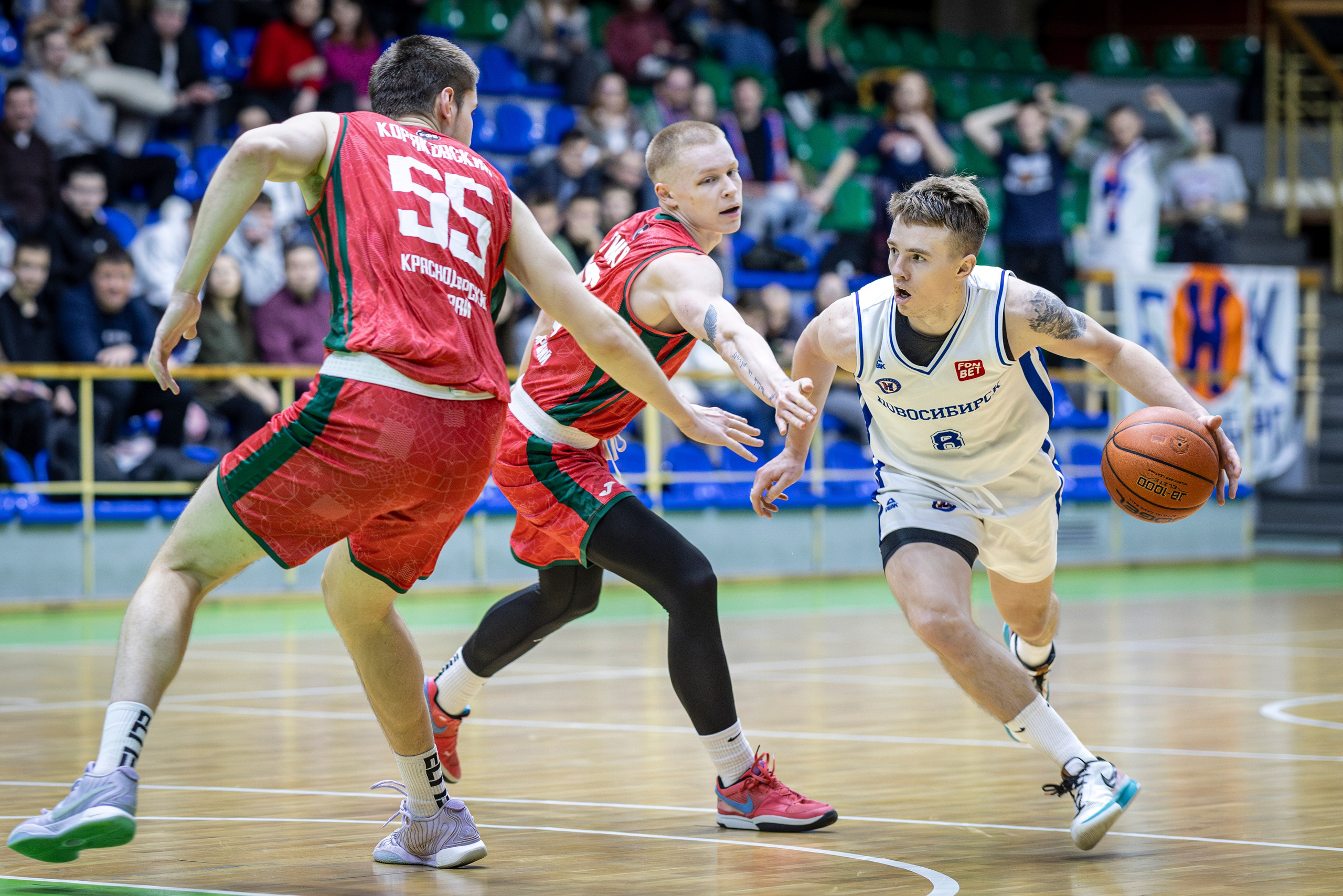 БК Новосибирск. Bertran Ordo