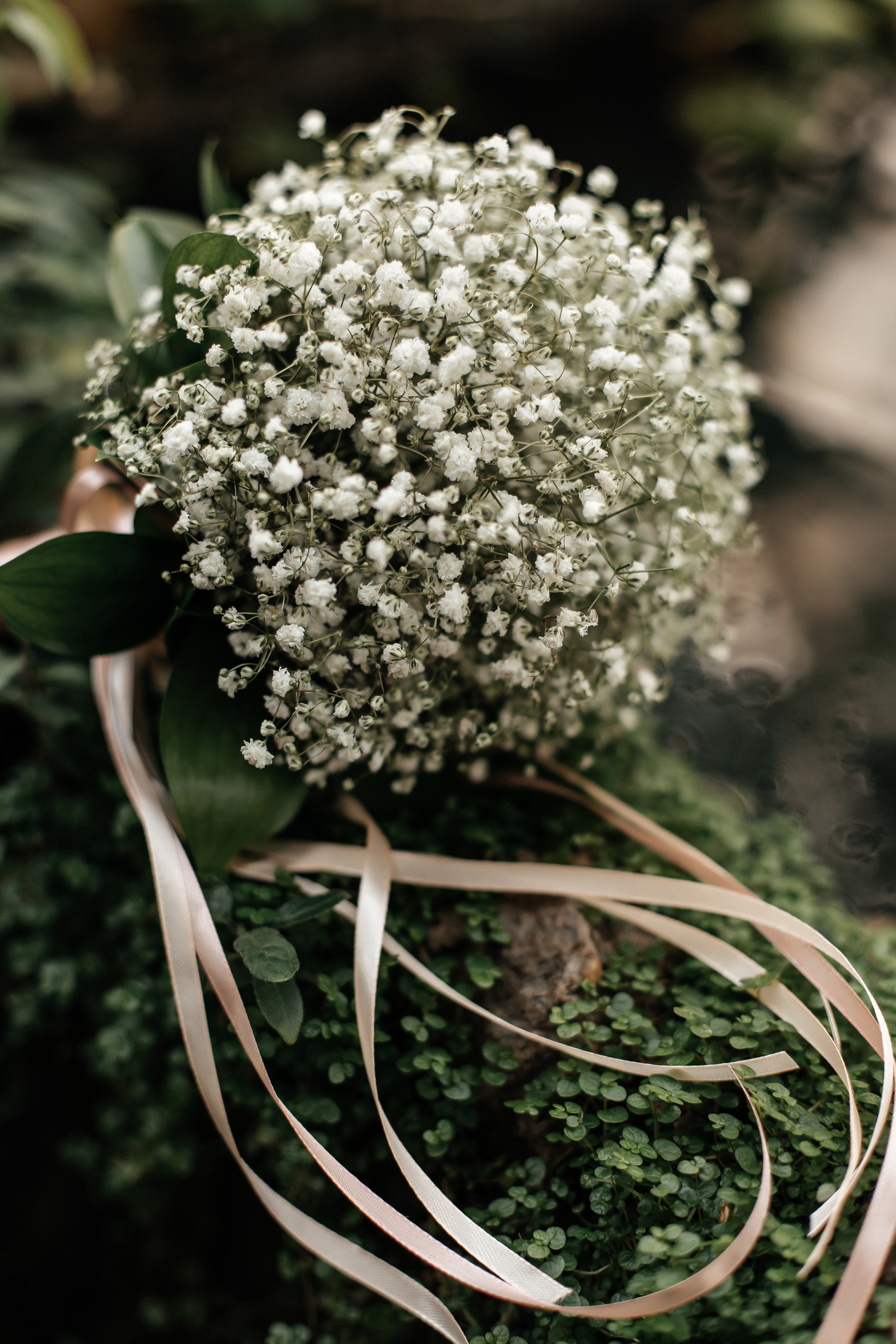 Полина & Владислав | 17.03.23. Свадебный и семейный фотограф в Омске Евгения Хакимова
