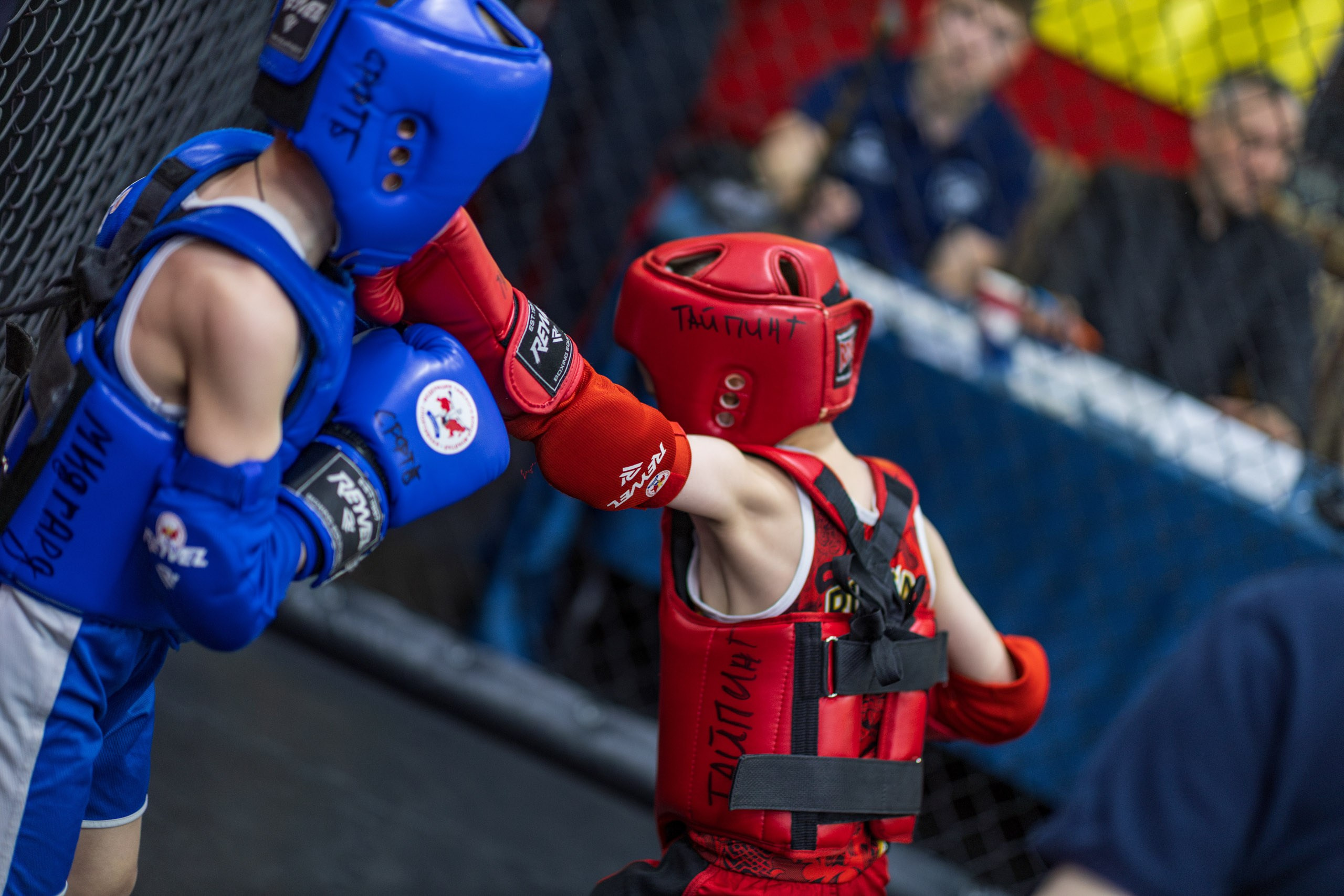 Золотой слон. Репортажный фотограф Екатеринбург | Яркий, качественный репортаж | Концерты, клубы, репортаж, праздники, корпоративы