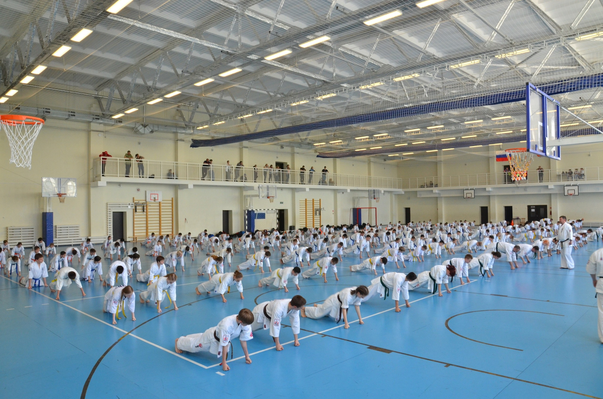 Соревнование по карате. Фотограф анималист, пейзажист, спортивные мероприятия. Новосибирск